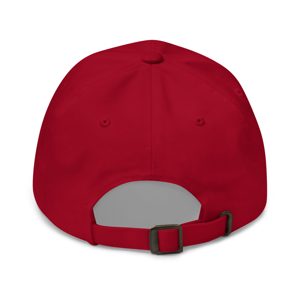 PureSarcasm sarcastic hat - dad cranberry, back view