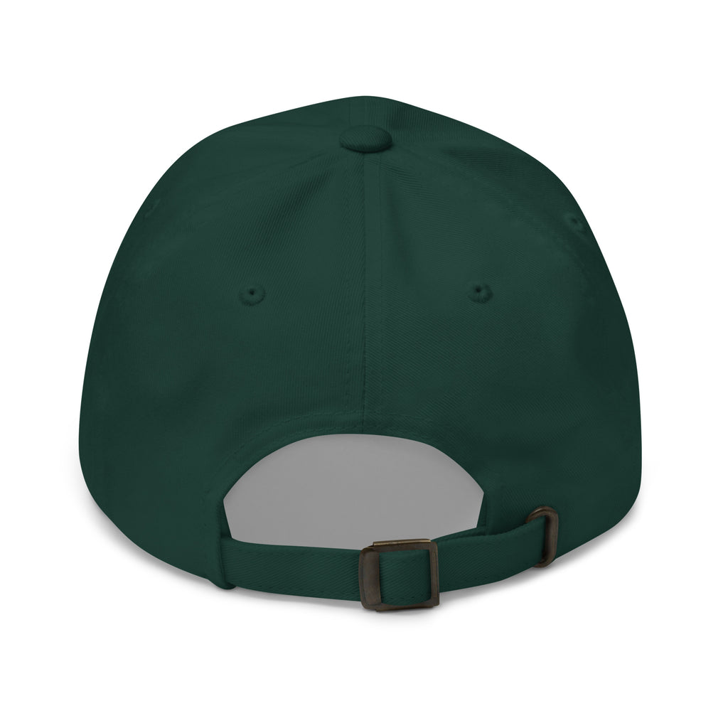 PureSarcasm sarcastic hat - dad spruce, back view