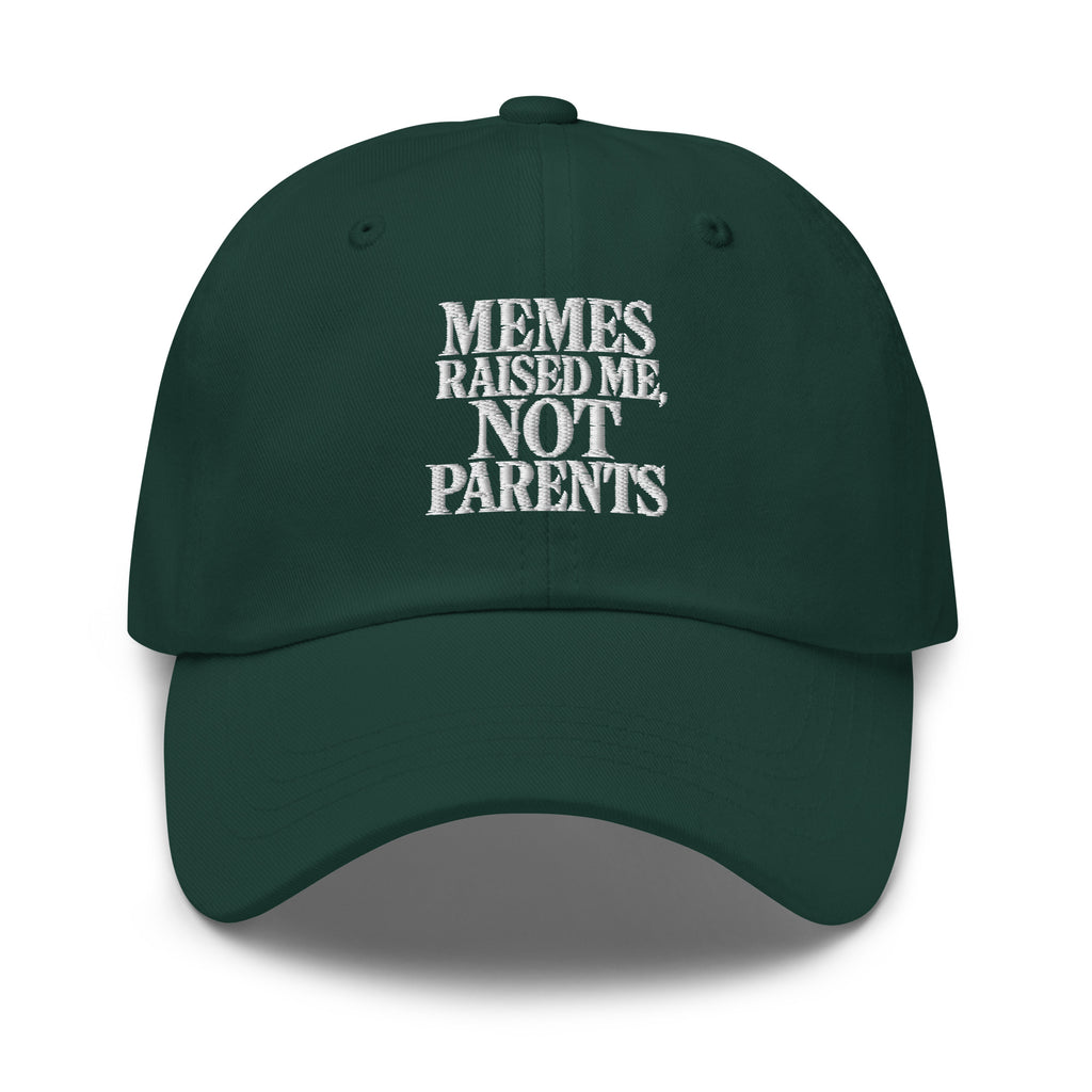 PureSarcasm sarcastic hat - dad spruce, front view