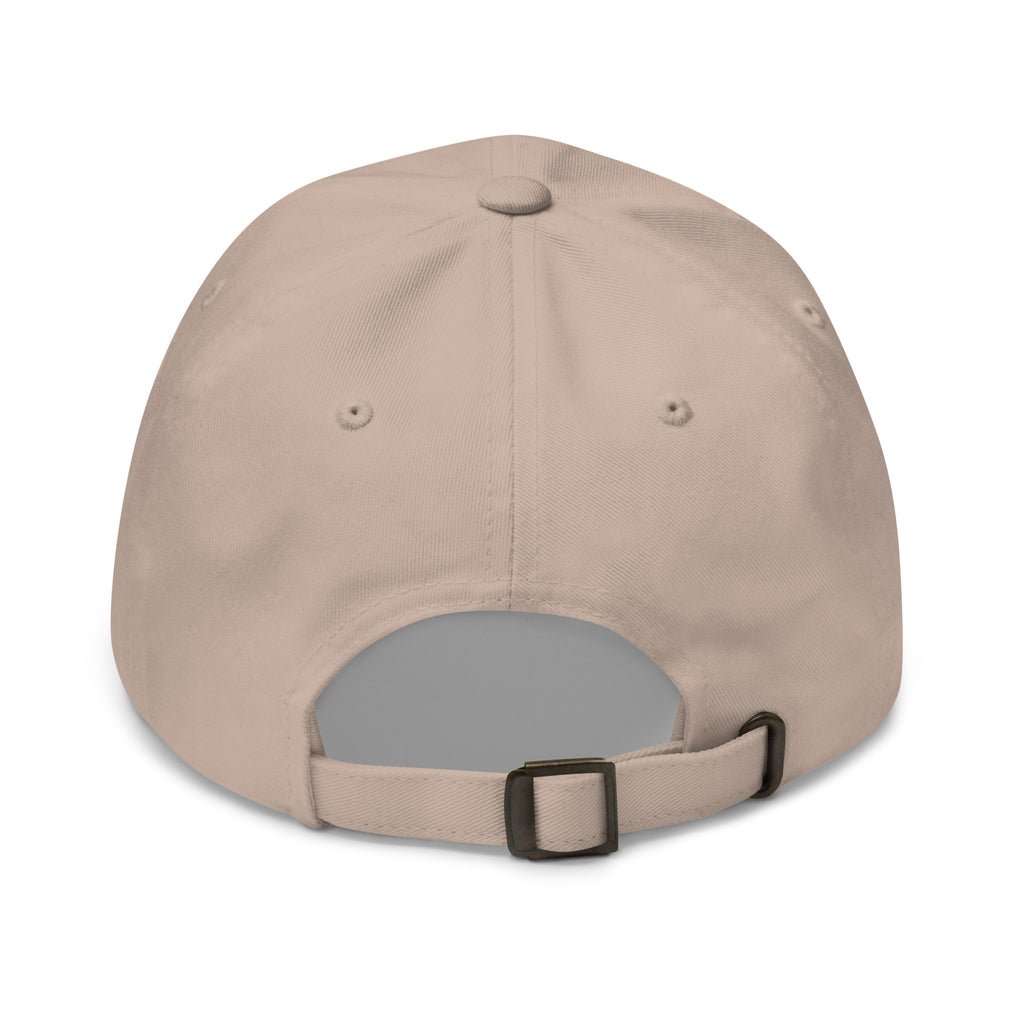 PureSarcasm sarcastic hat - dad stone, back view