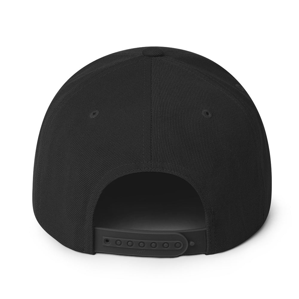 Surviving on Spite & Snacks sarcastic hat - snapback black, back view