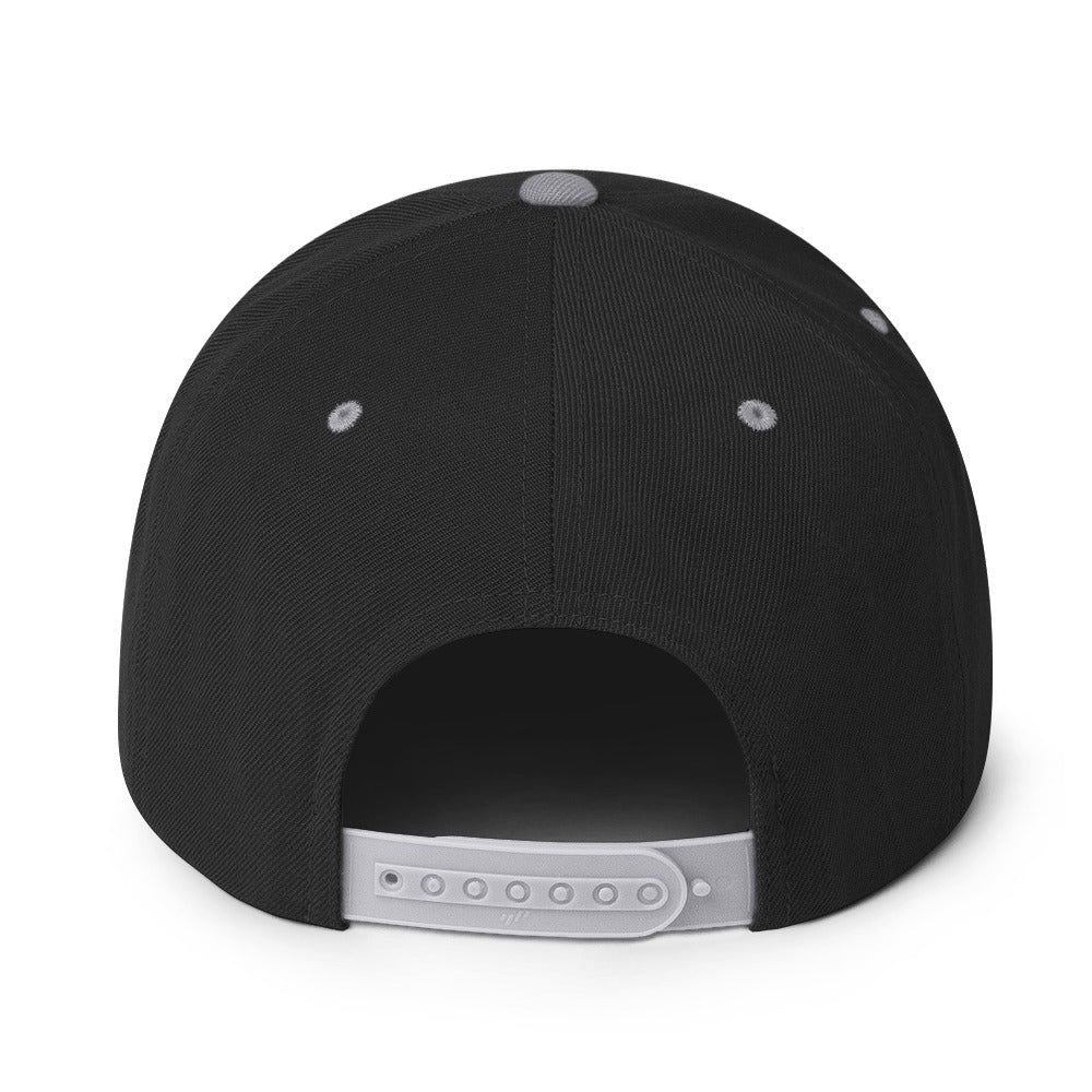 Surviving on Spite & Snacks sarcastic hat - snapback black silver, back view
