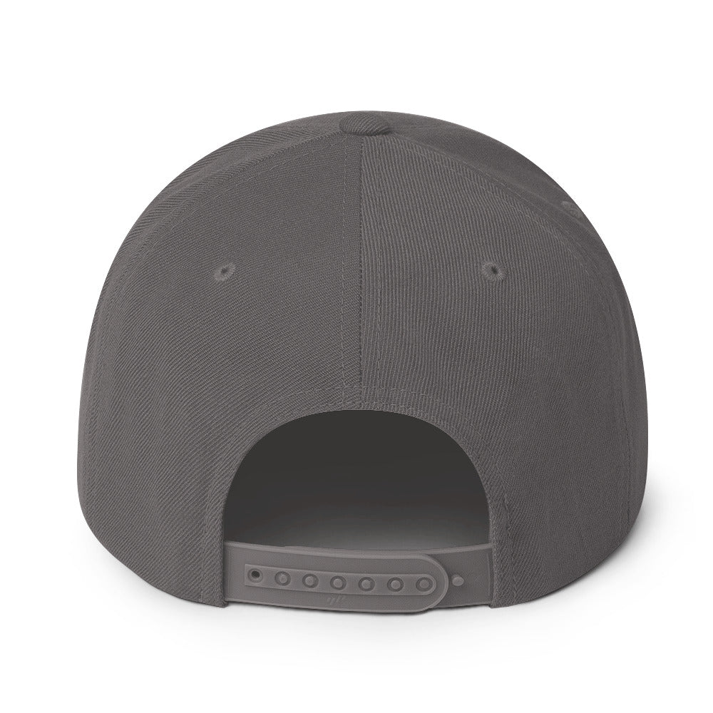 Surviving on Spite & Snacks sarcastic hat - snapback dark grey, back view