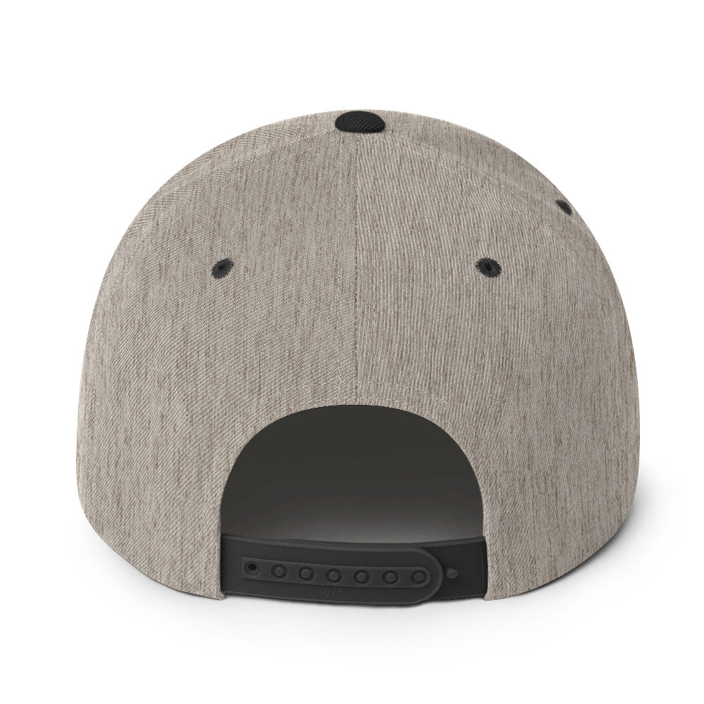 Surviving on Spite & Snacks sarcastic hat - snapback heather black, back view
