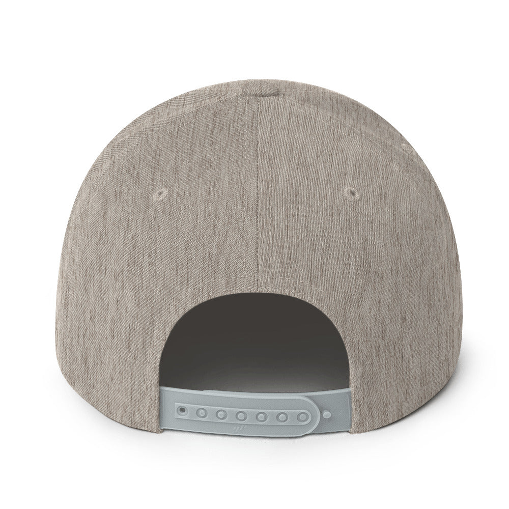 Surviving on Spite & Snacks sarcastic hat - snapback heather grey, back view