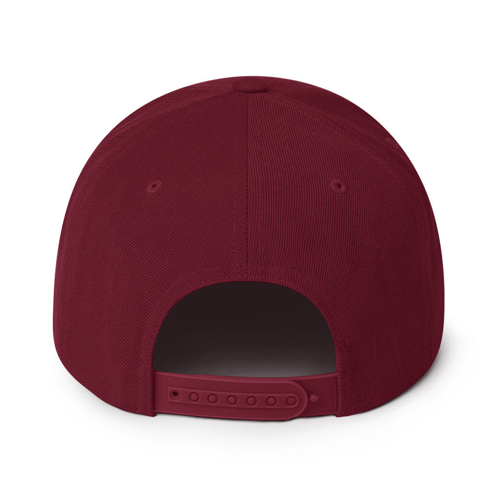 Surviving on Spite & Snacks sarcastic hat - snapback maroon, back view
