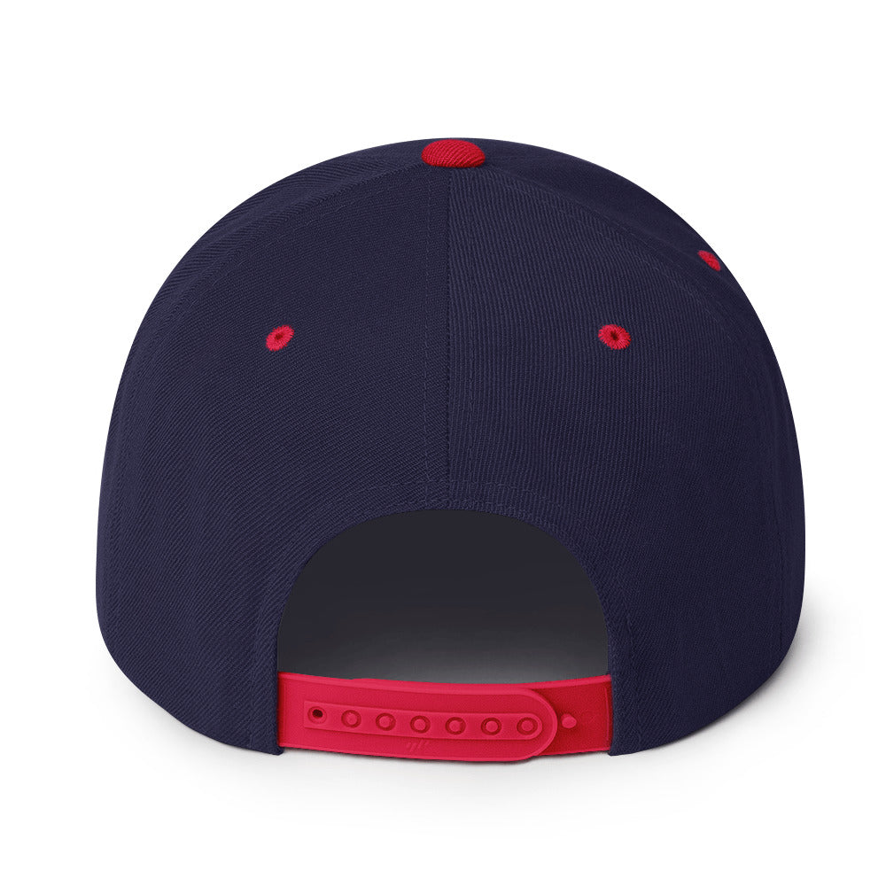 Surviving on Spite & Snacks - Sarcastic Hat in Snapback Navy Red - Back View | Sarcastic Hat | PureSarcasm