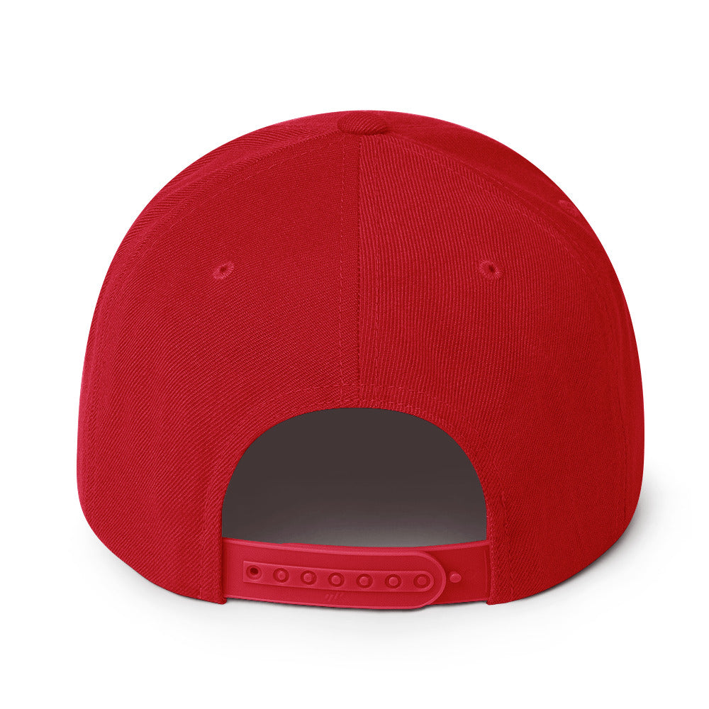 Surviving on Spite & Snacks sarcastic hat - snapback red, back view