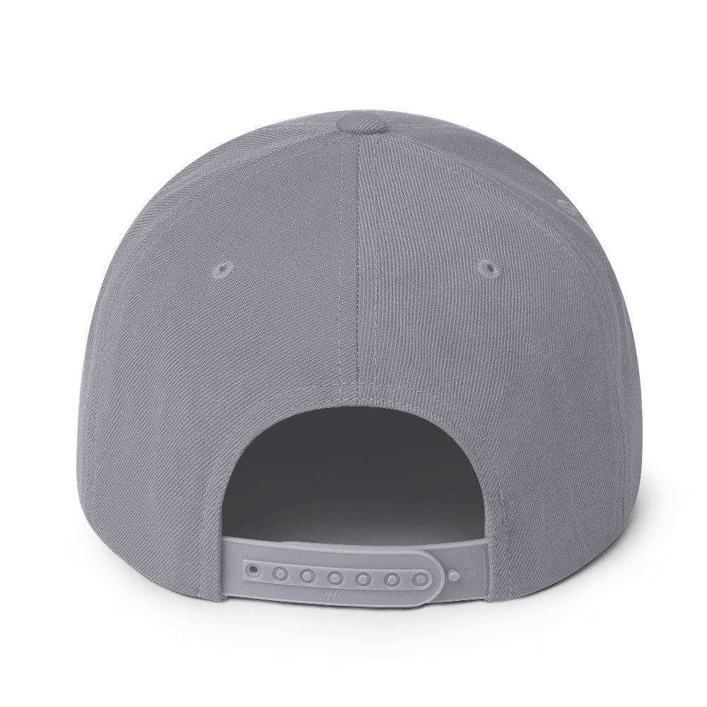 Surviving on Spite & Snacks sarcastic hat - snapback silver, back view
