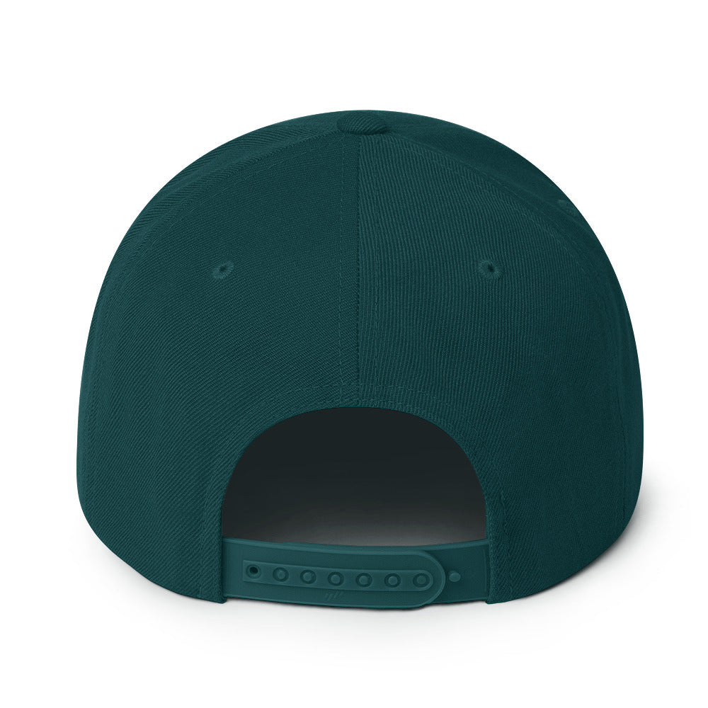 Surviving on Spite & Snacks sarcastic hat - snapback spruce, back view