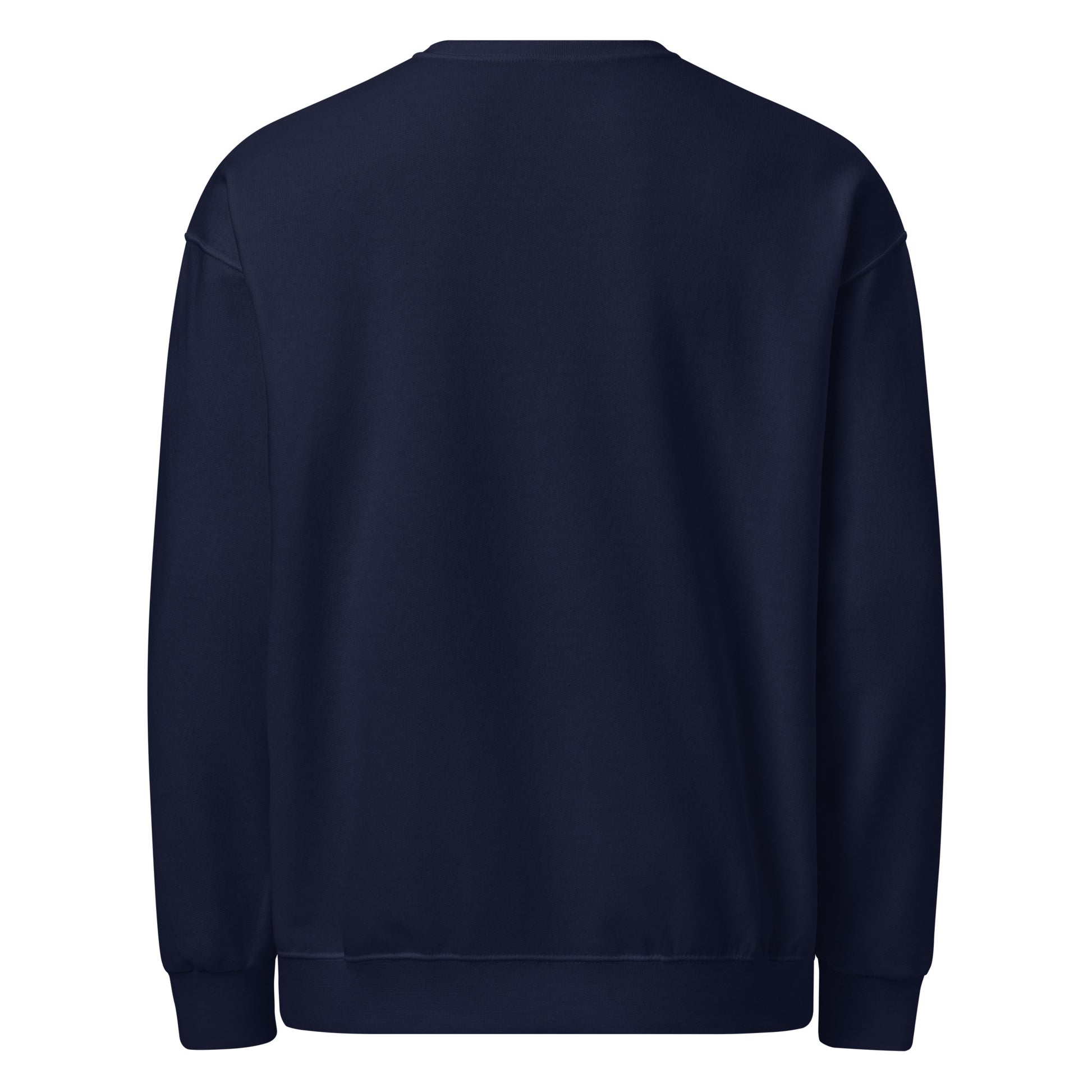 Another Day, Another Disappointment sarcastic sweatshirt - navy, back view