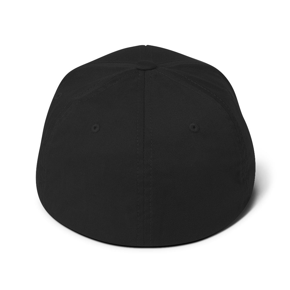 PureSarcasm sarcastic hat - structured black, back view
