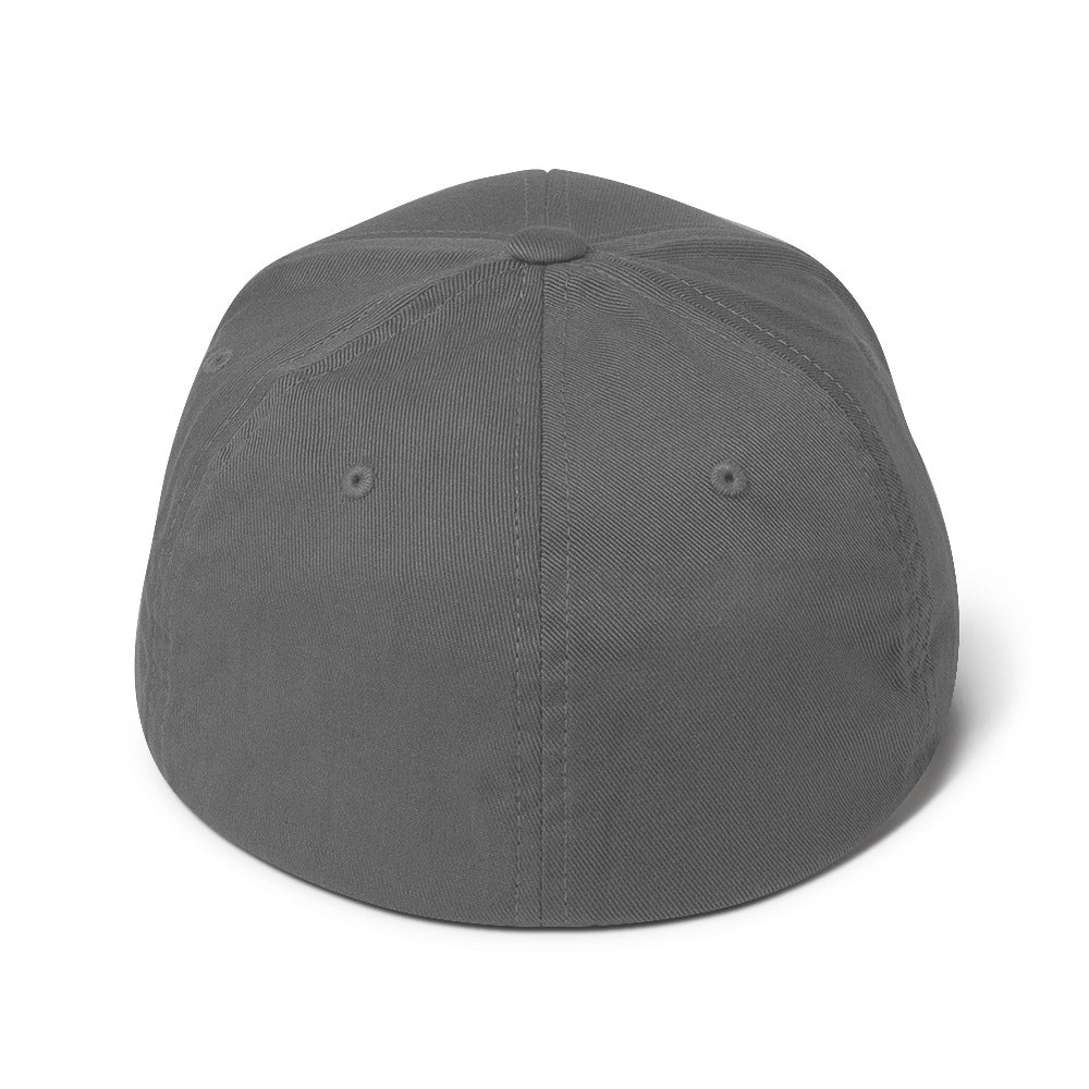 PureSarcasm sarcastic hat - structured grey, back view