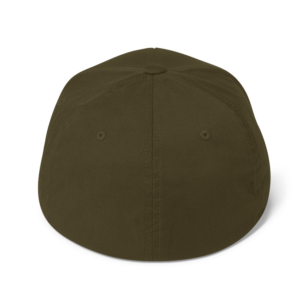 PureSarcasm sarcastic hat - structured olive, back view