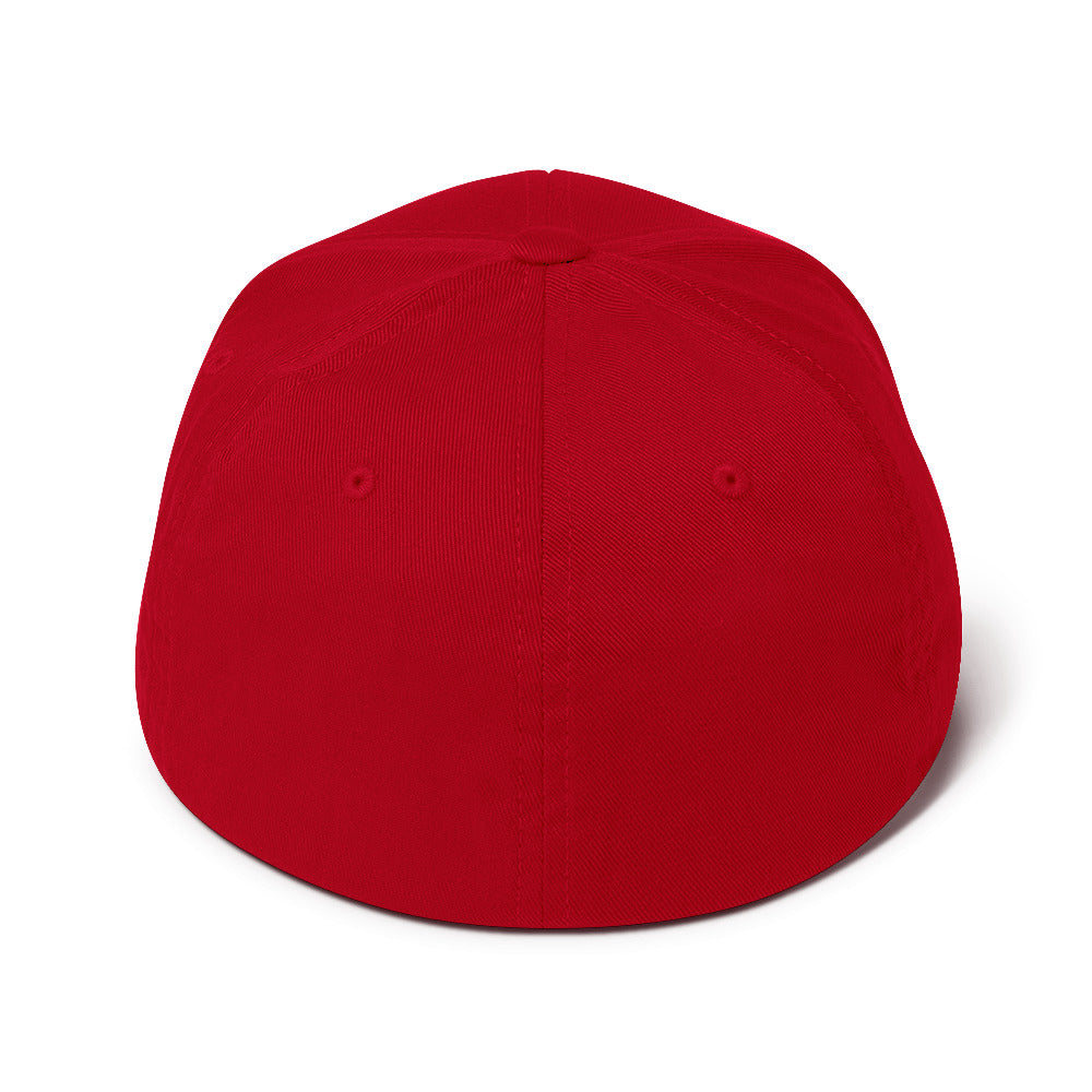 PureSarcasm sarcastic hat - structured red, back view