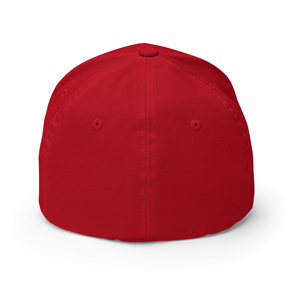 PureSarcasm sarcastic hat - structured red, back view