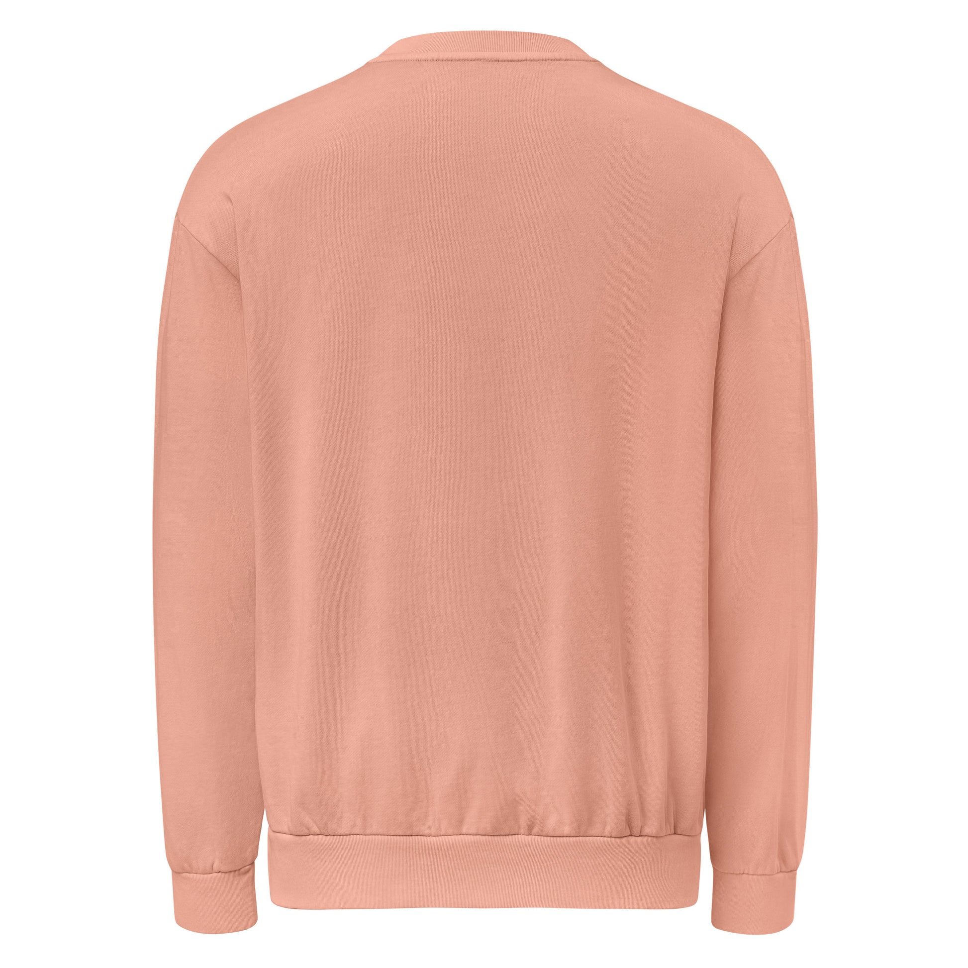 Winning at Life (Technically Alive) sarcastic sweatshirt - salmon, back view