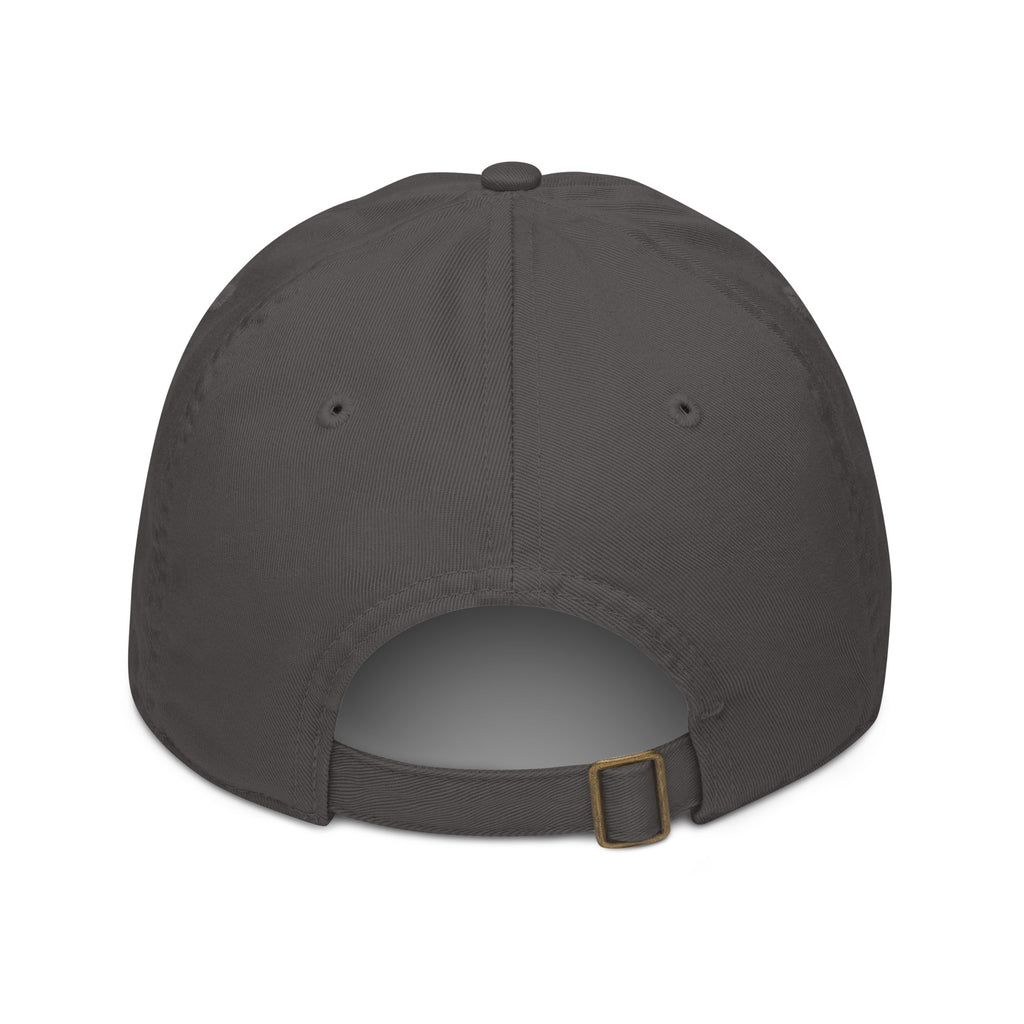 Born to Reopen Tickets sarcastic hat - baseball charcoal, back view