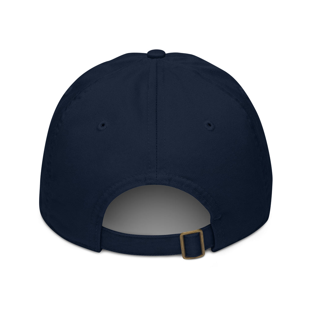 Born to Reopen Tickets sarcastic hat - baseball pacific, back view
