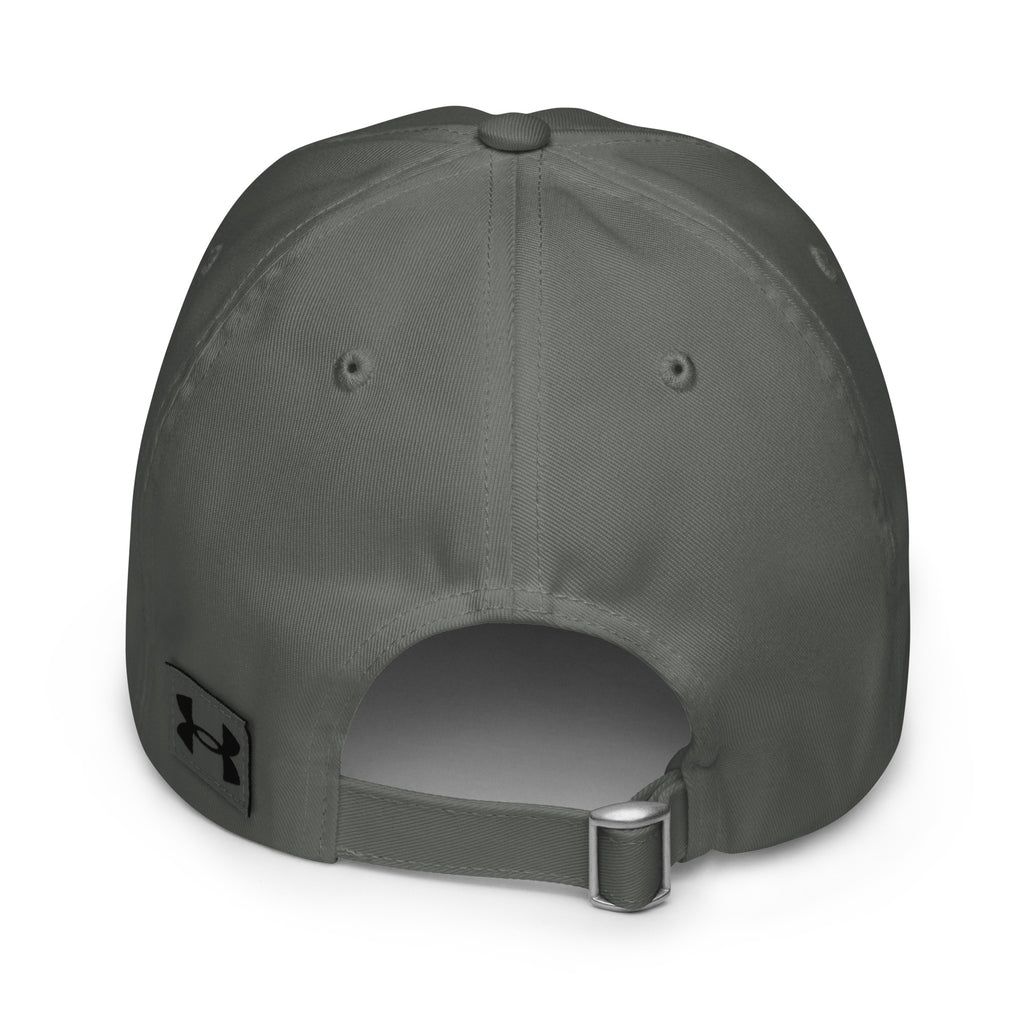 Peak Delusion. Zero Follow-Through. sarcastic hat - dad grey, back view