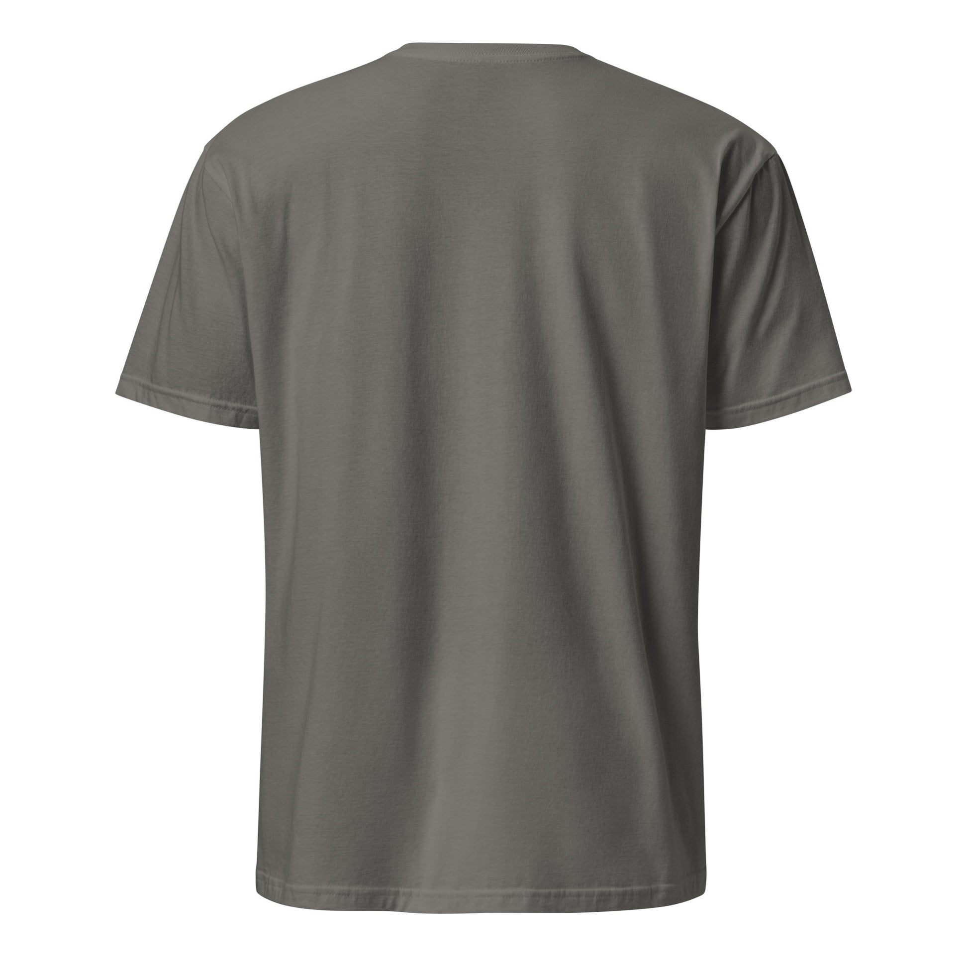PureSarcasm sarcastic t-shirt - t charcoal, back view