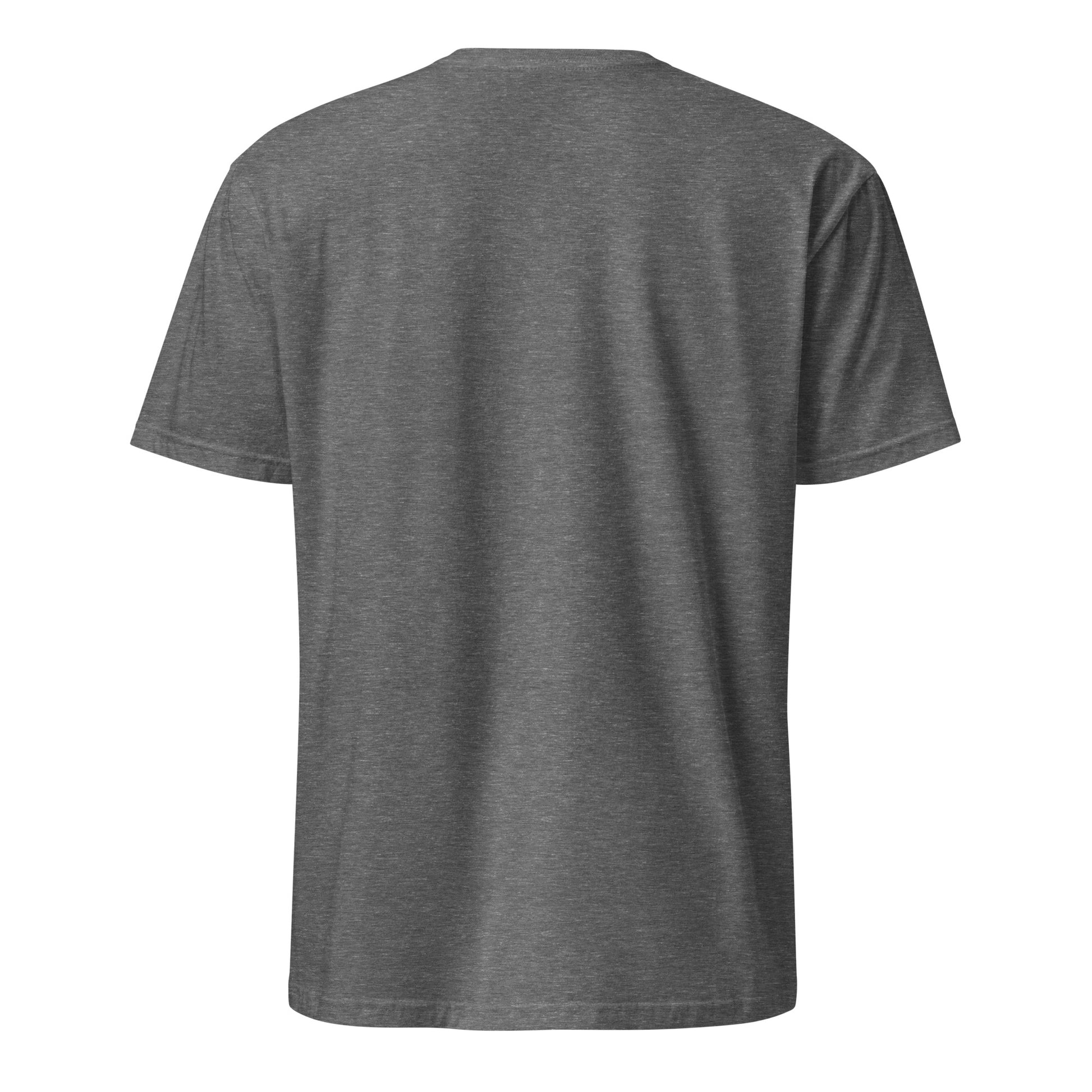 PureSarcasm sarcastic t-shirt - graphite heather, back view