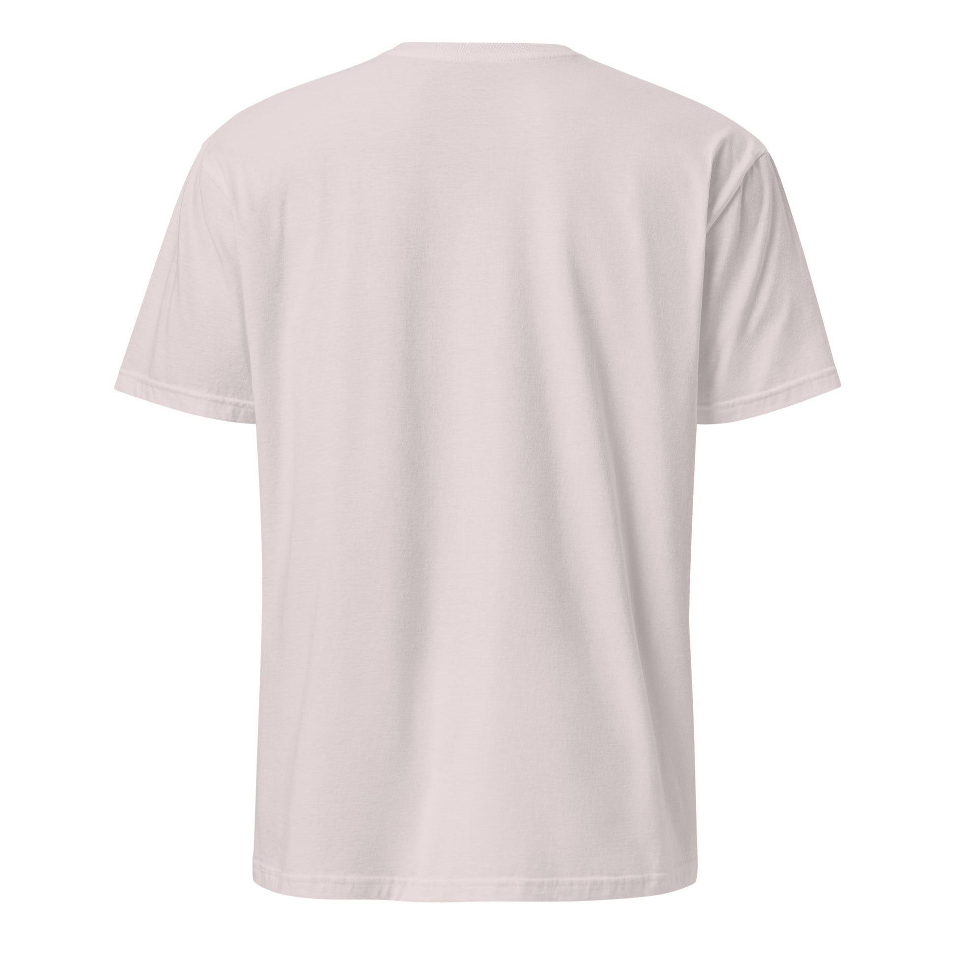 PureSarcasm sarcastic t-shirt - ice grey, back view
