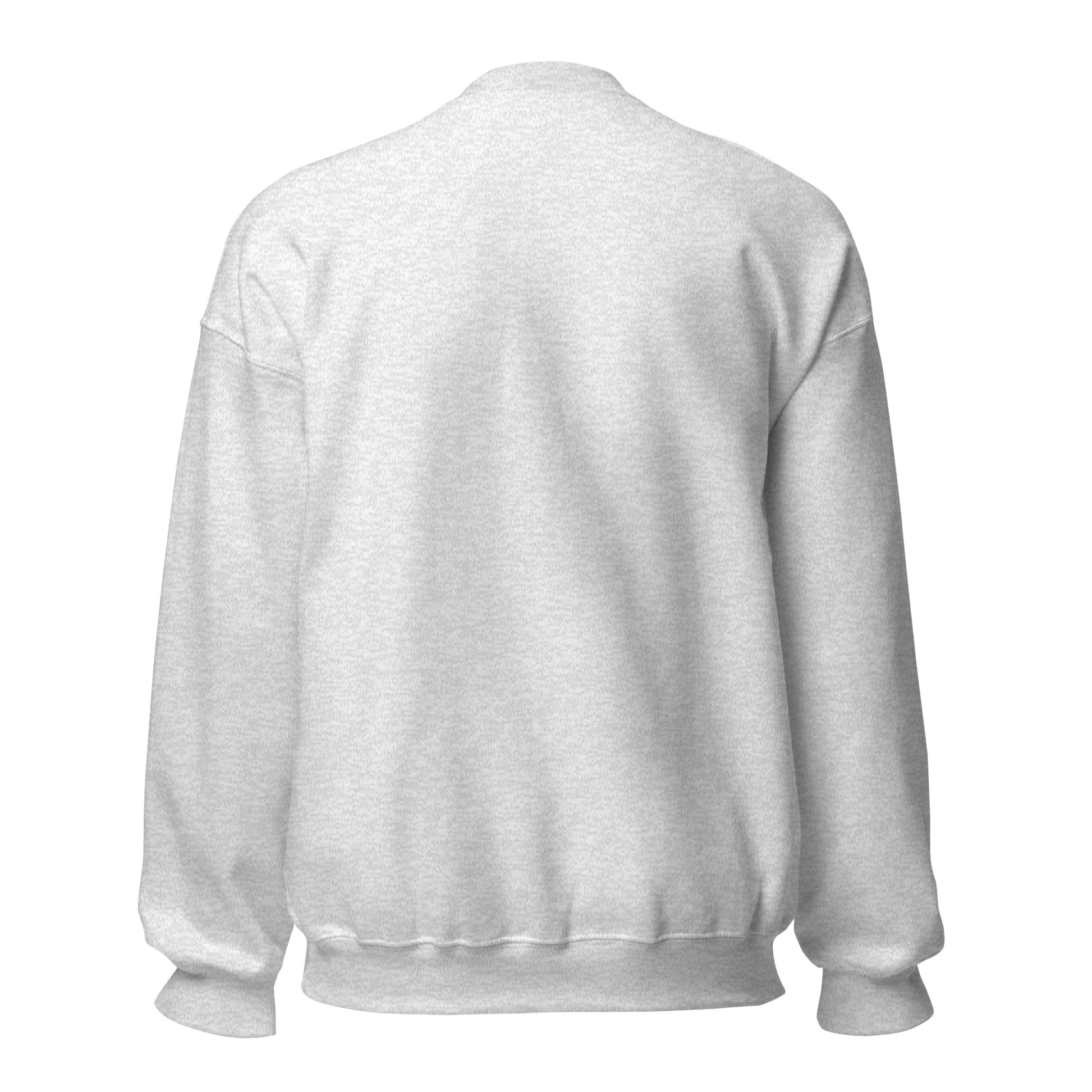 Inbox Zero, Life Chaos sarcastic sweatshirt - neck ash, back view