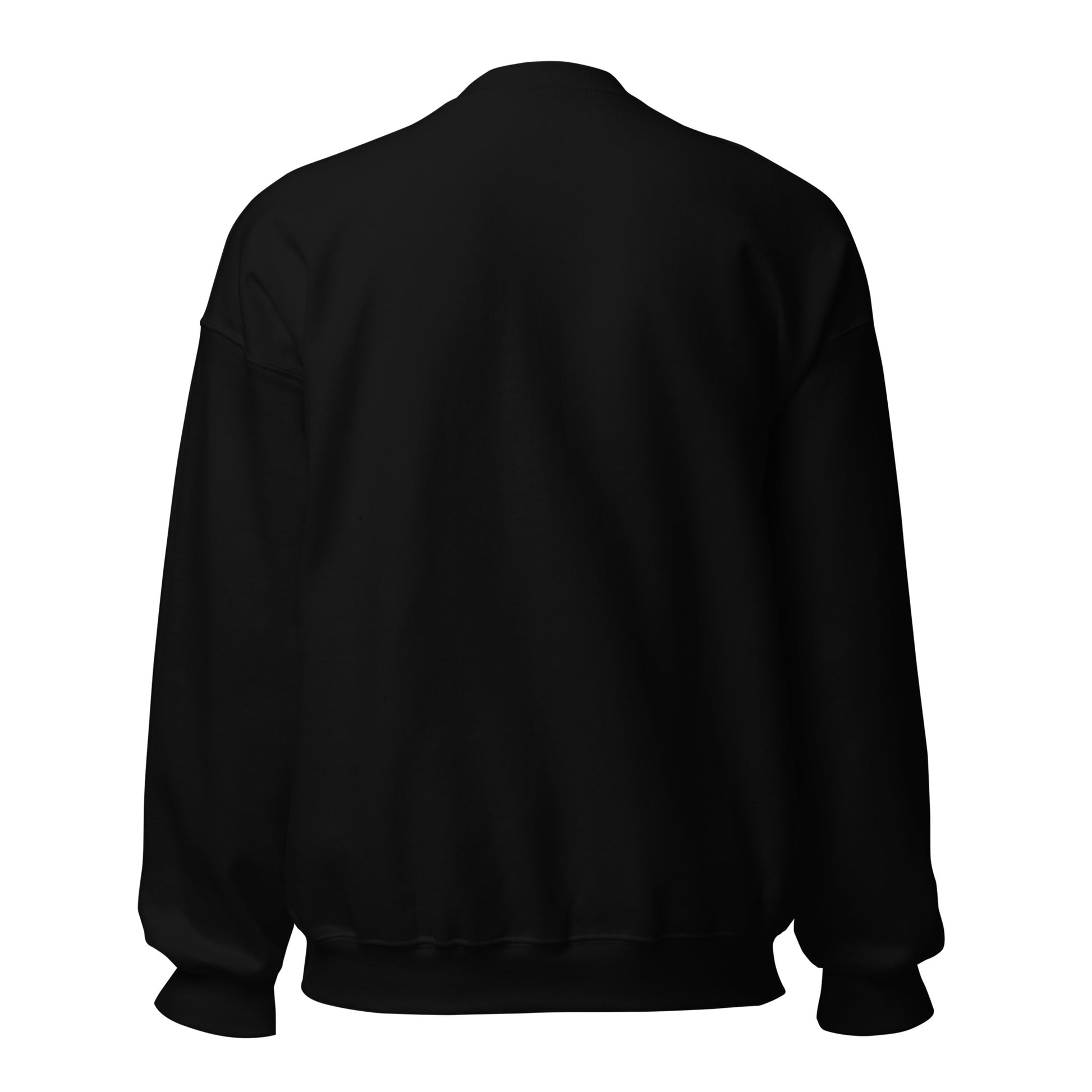 Inbox Zero, Life Chaos sarcastic sweatshirt - neck black, back view