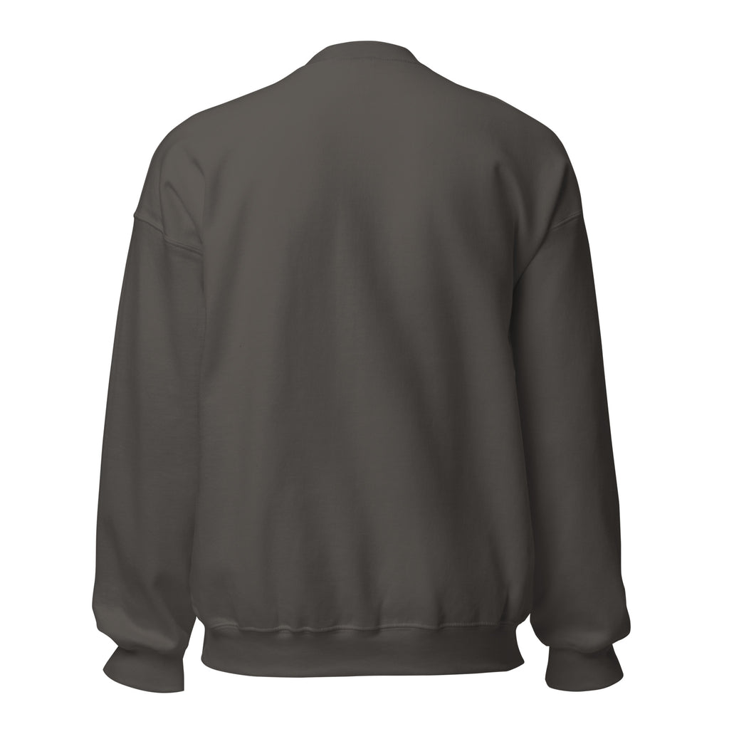 Inbox Zero, Life Chaos sarcastic sweatshirt - neck charcoal, back view