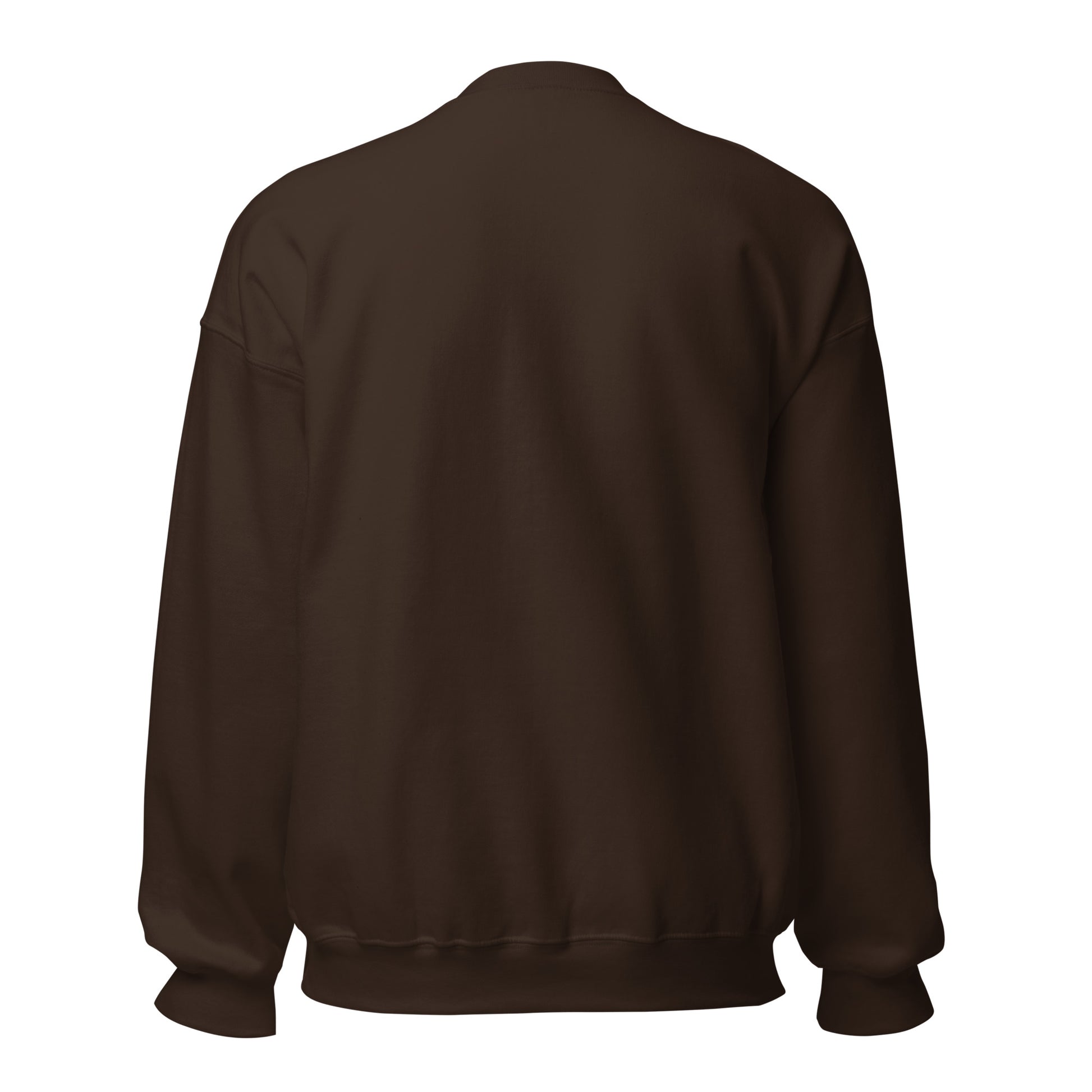 Inbox Zero, Life Chaos sarcastic sweatshirt - dark chocolate, back view