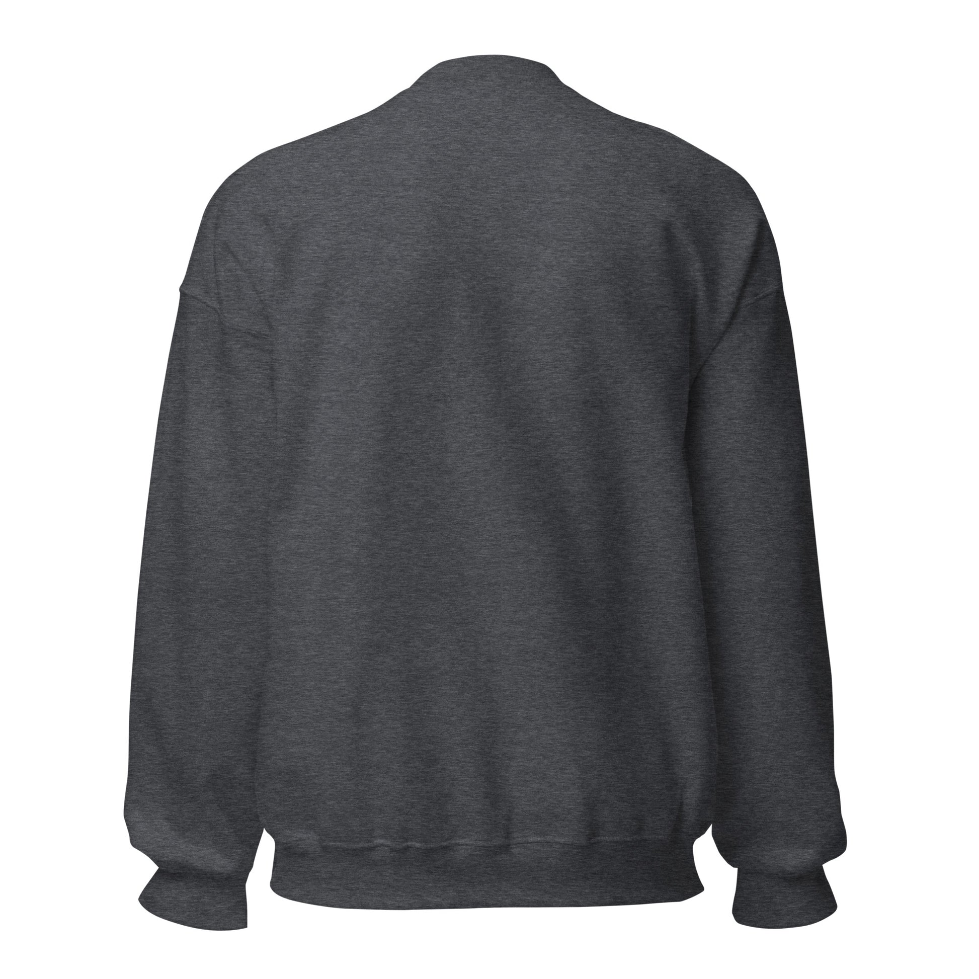 Inbox Zero, Life Chaos sarcastic sweatshirt - dark heather, back view