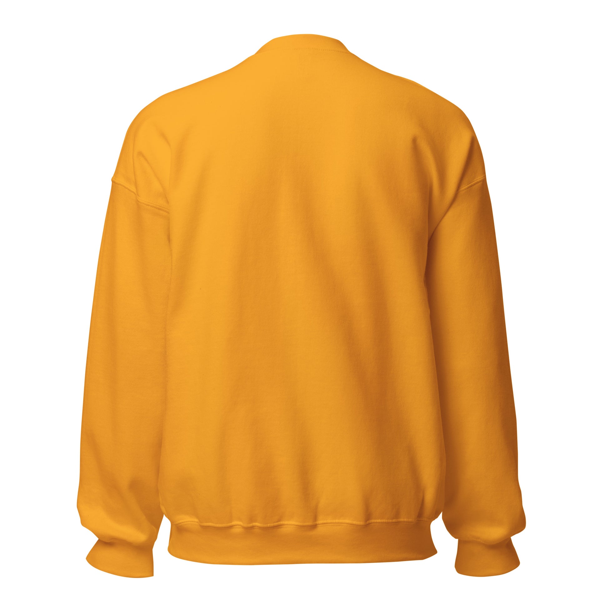 Inbox Zero, Life Chaos sarcastic sweatshirt - neck gold, back view