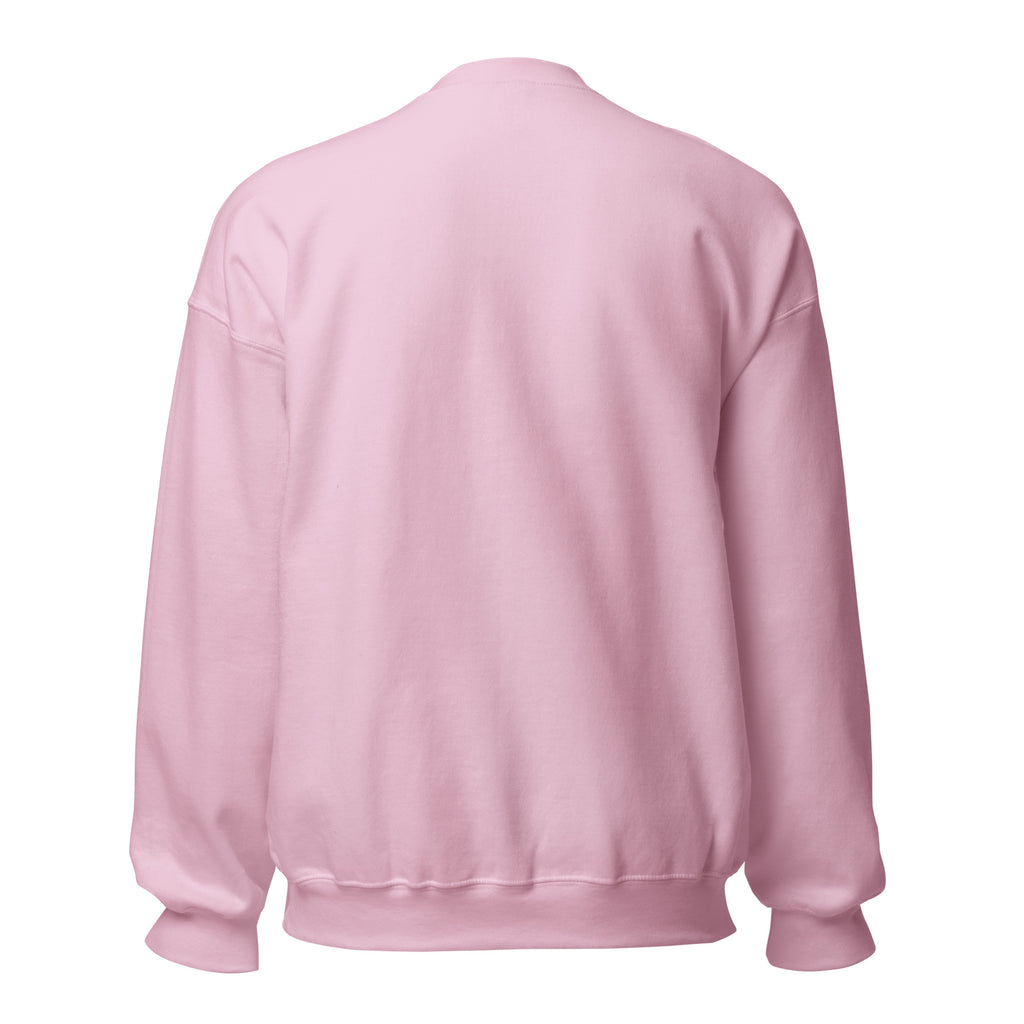 Inbox Zero, Life Chaos sarcastic sweatshirt - light pink, back view