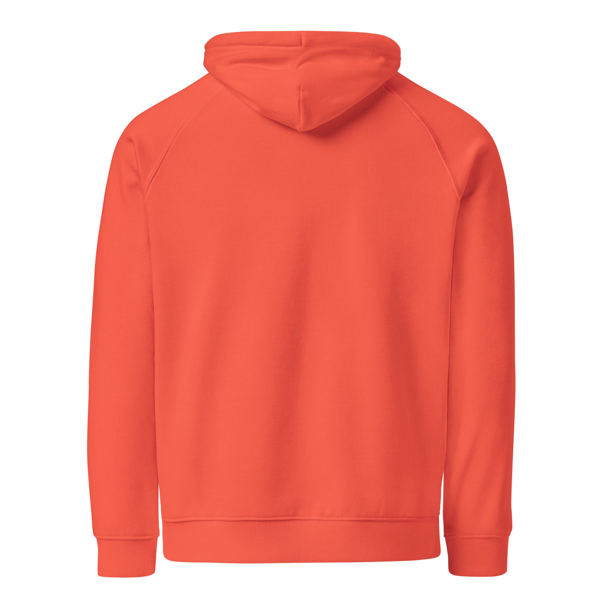Overdrafted, still color-coordinated - Sarcastic Hoodie | PureSarcasm in Hoodie Burnt Orange - Back View | Sarcastic Hoodie | PureSarcasm