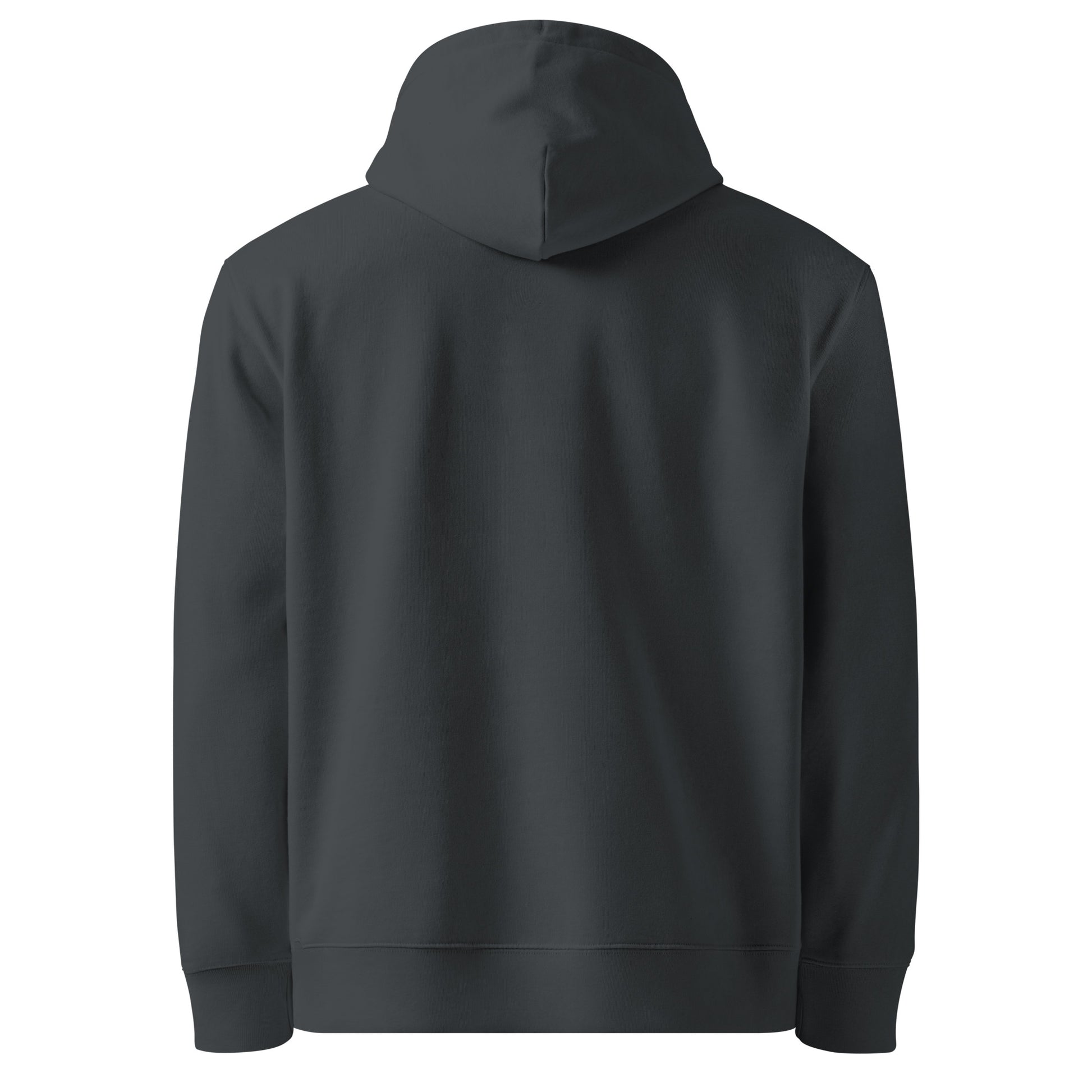 Paid in Anxiety, Not Cash sarcastic hoodie - anxiety, not cash - sarcastic in india ink grey, back view