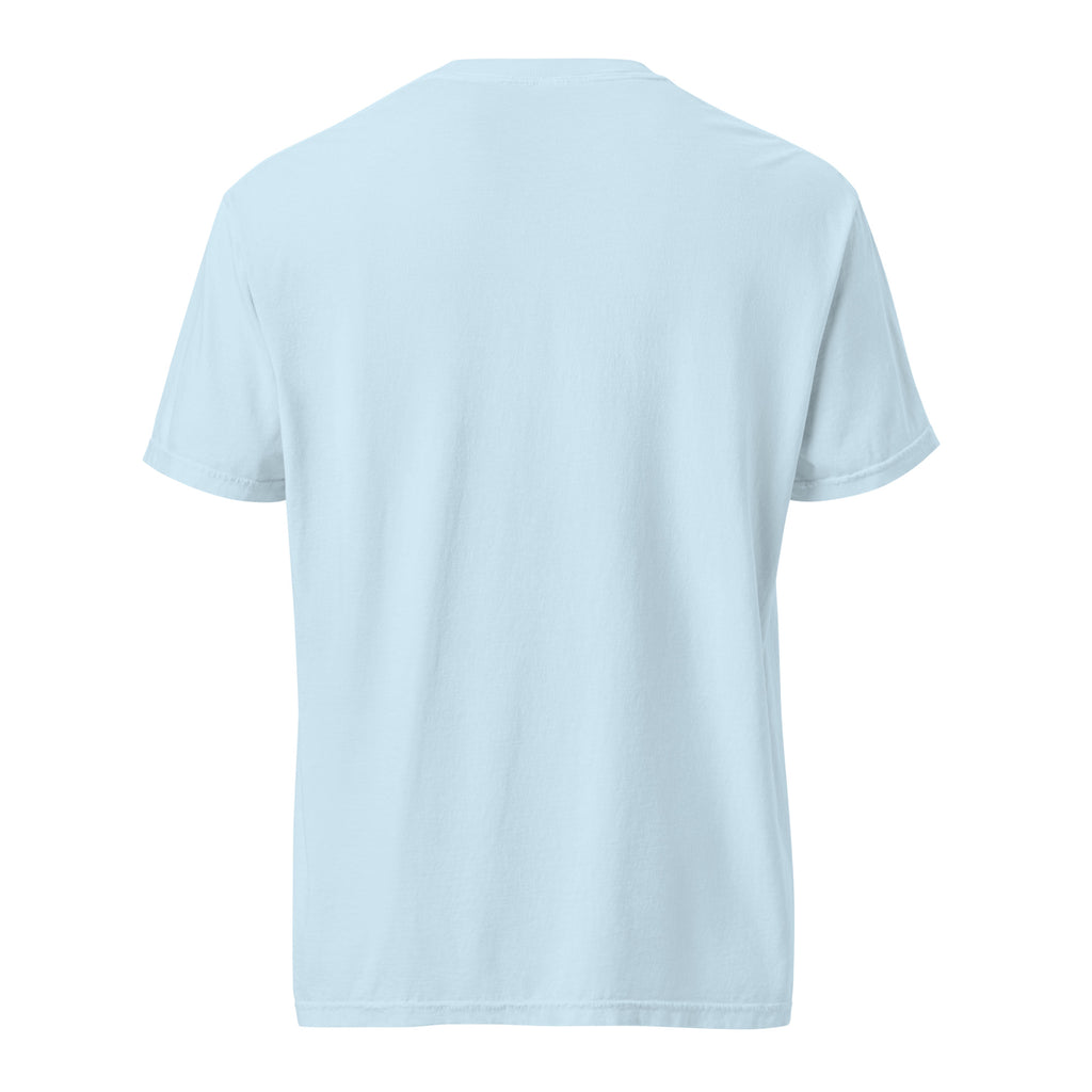 PureSarcasm sarcastic t-shirt - t chambray, back view