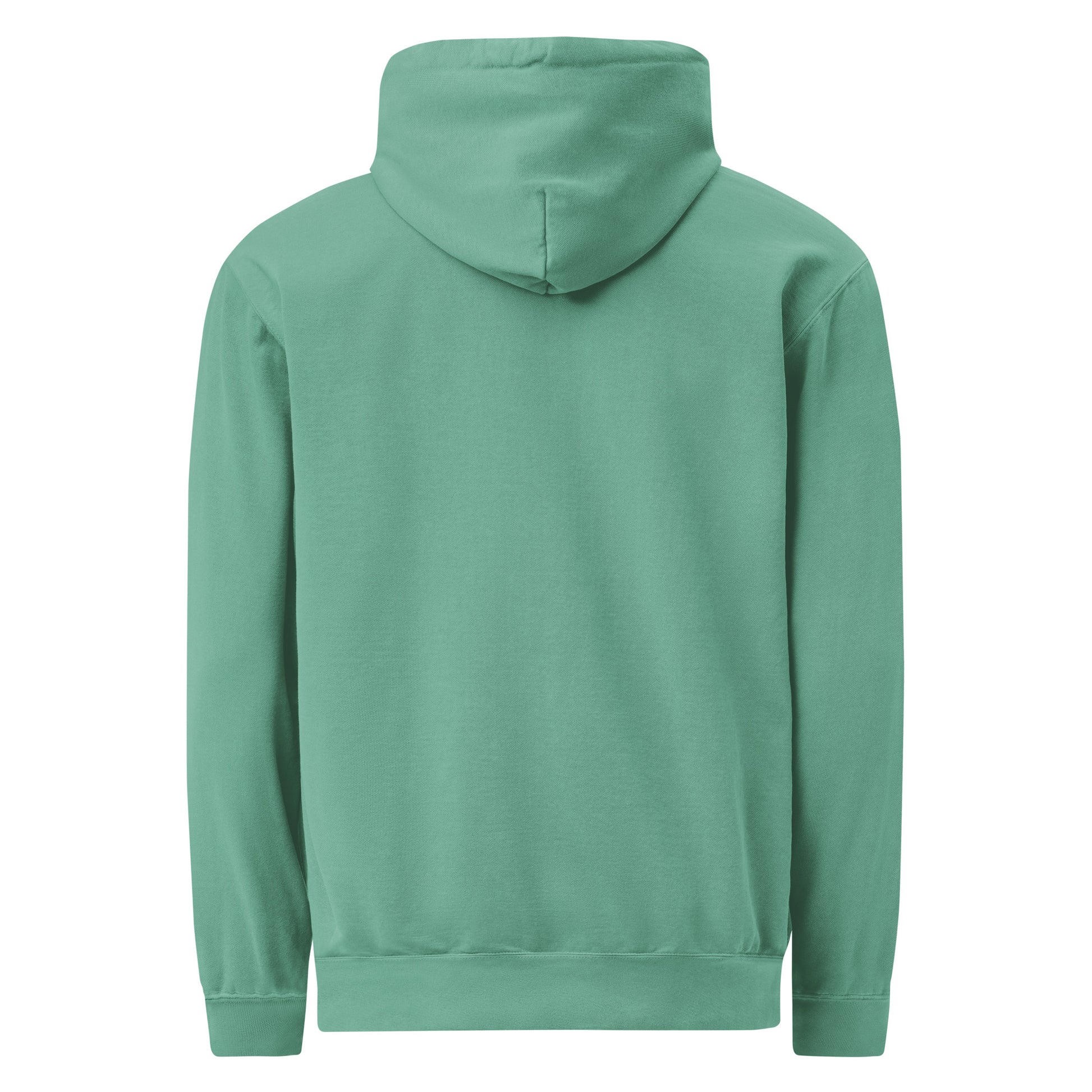 Love You, Mean It. Kinda. - Sarcastic Hoodie | PureSarcasm in Seafoam - Back View | Sarcastic Hoodie | PureSarcasm