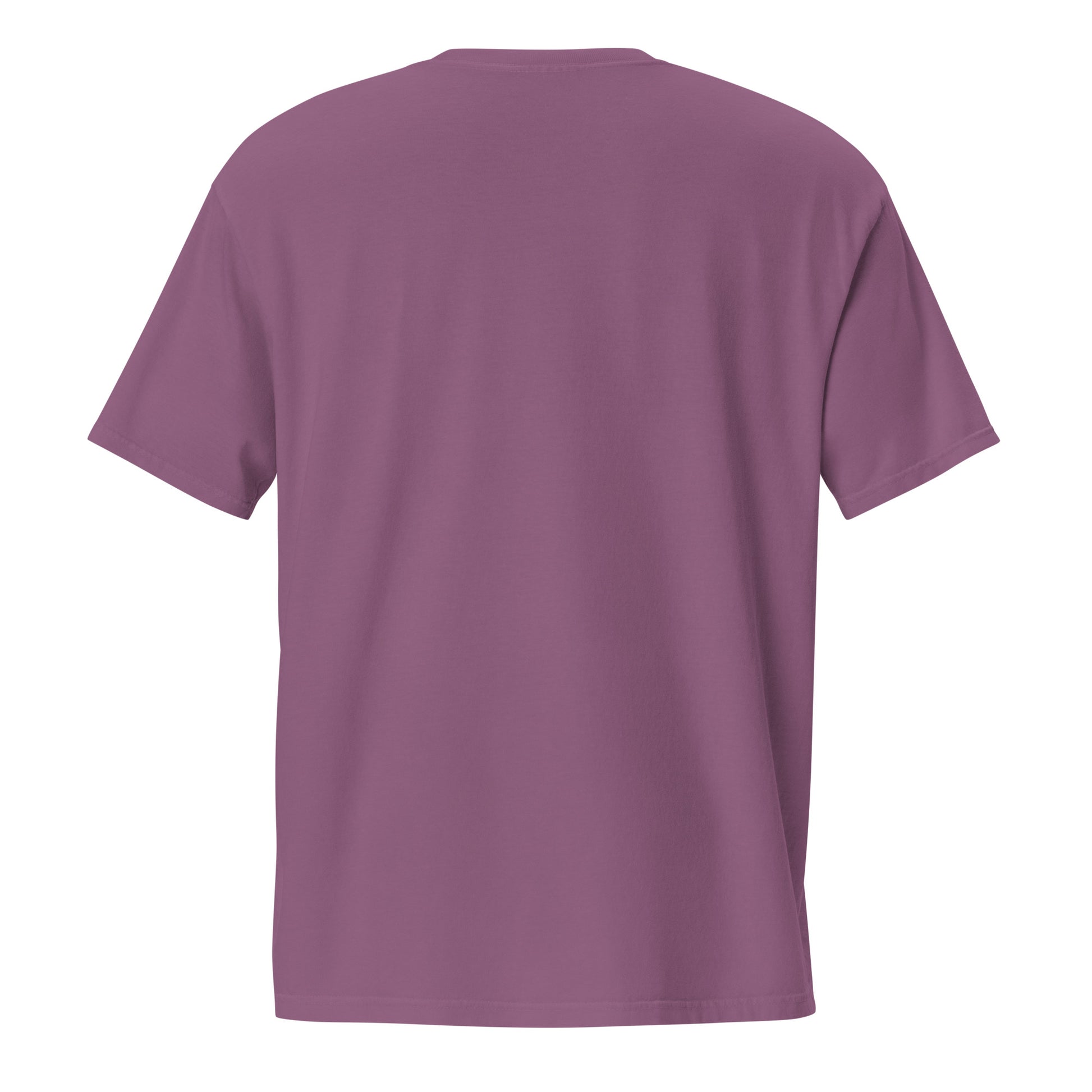 Barely Paid, Fully Dead Inside sarcastic t-shirt - t berry, back view