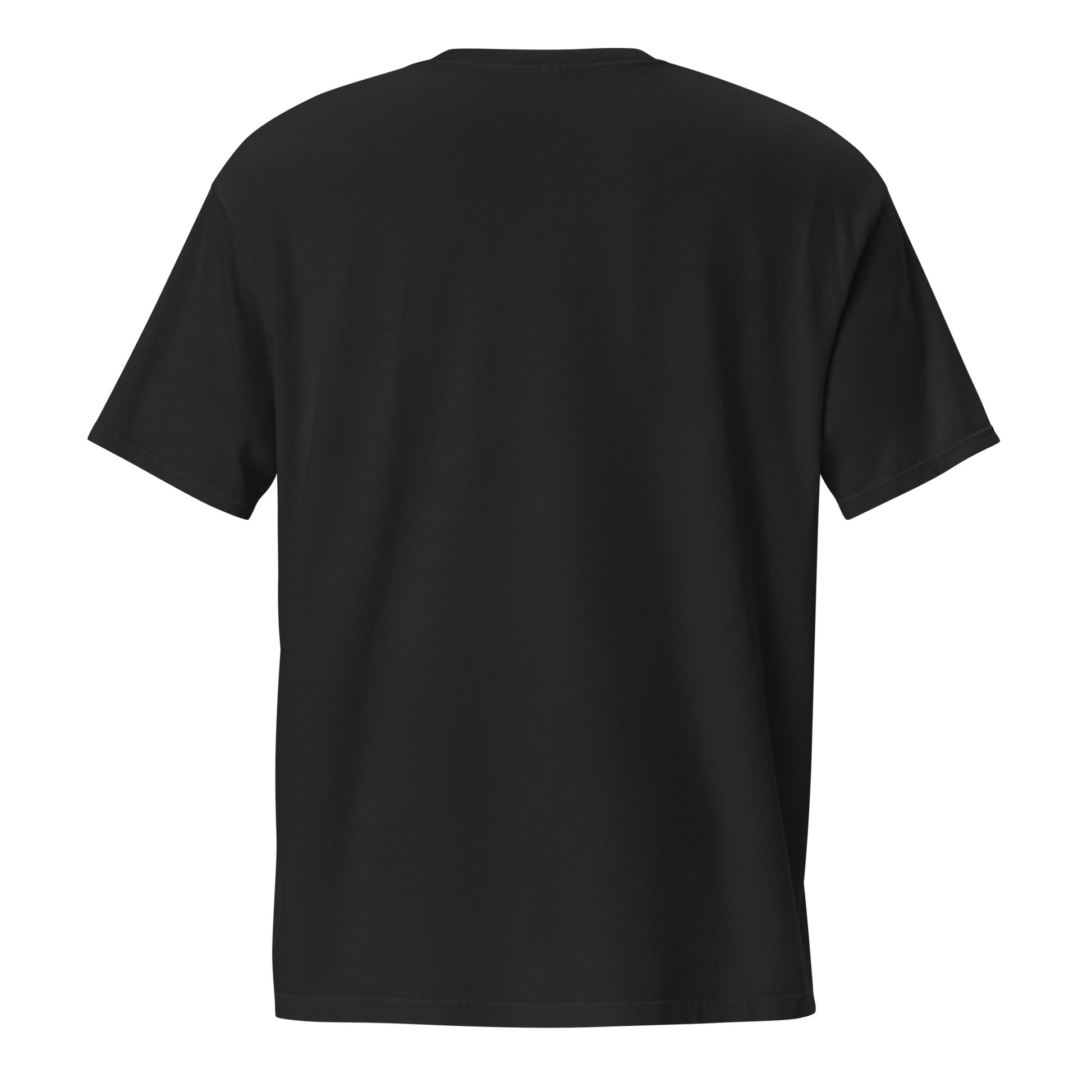 Barely Paid, Fully Dead Inside sarcastic t-shirt - t black, back view