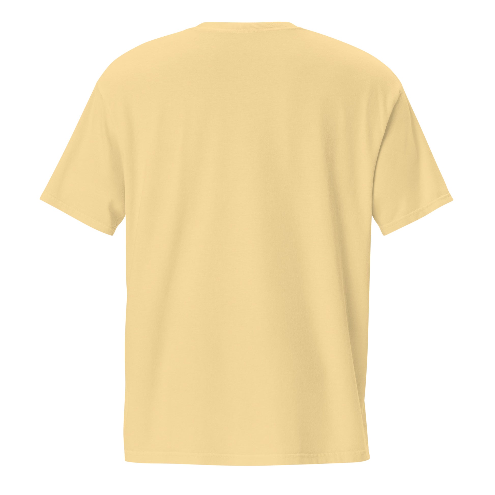 Barely Paid, Fully Dead Inside sarcastic t-shirt - t butter, back view