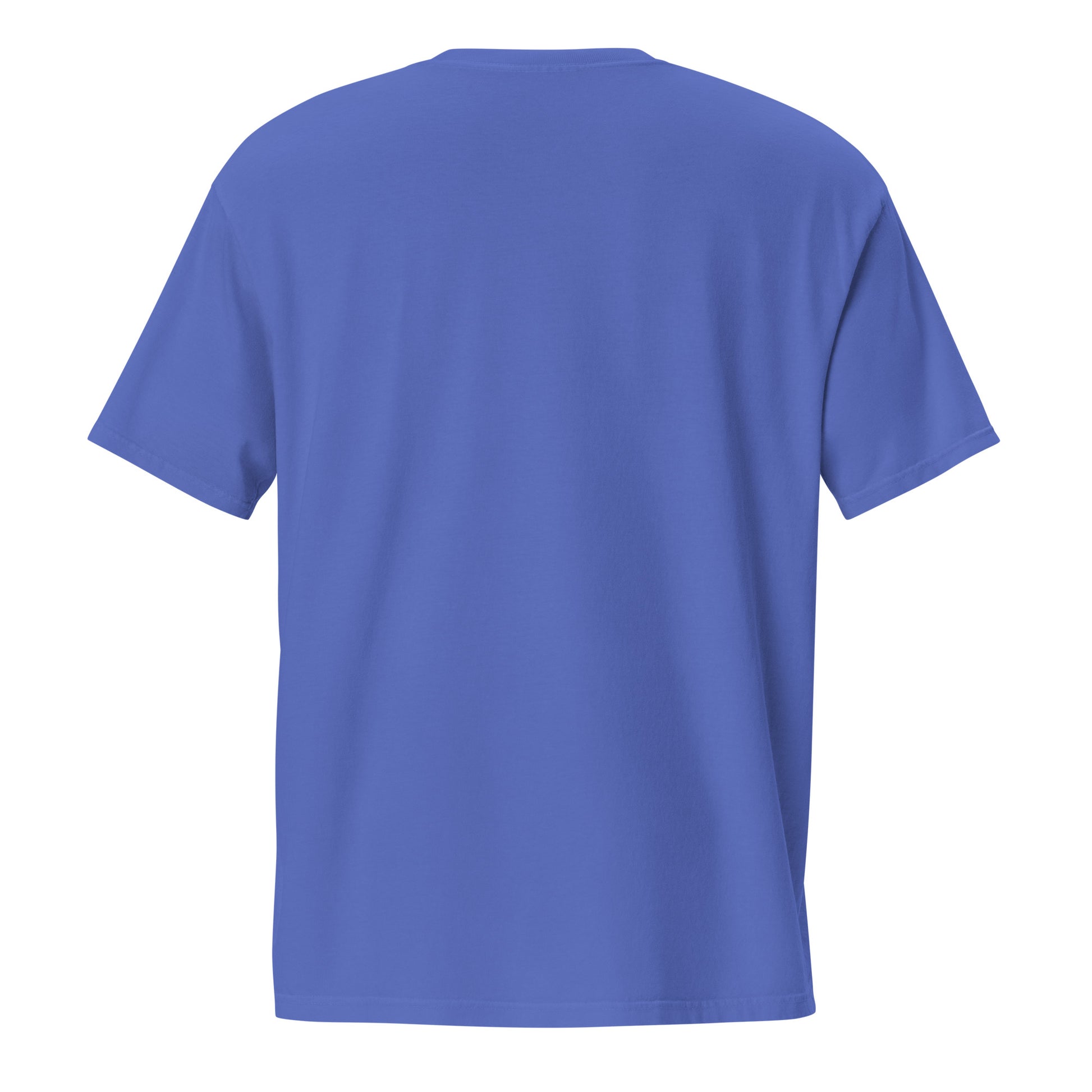 Barely Paid, Fully Dead Inside sarcastic t-shirt - flo blue, back view