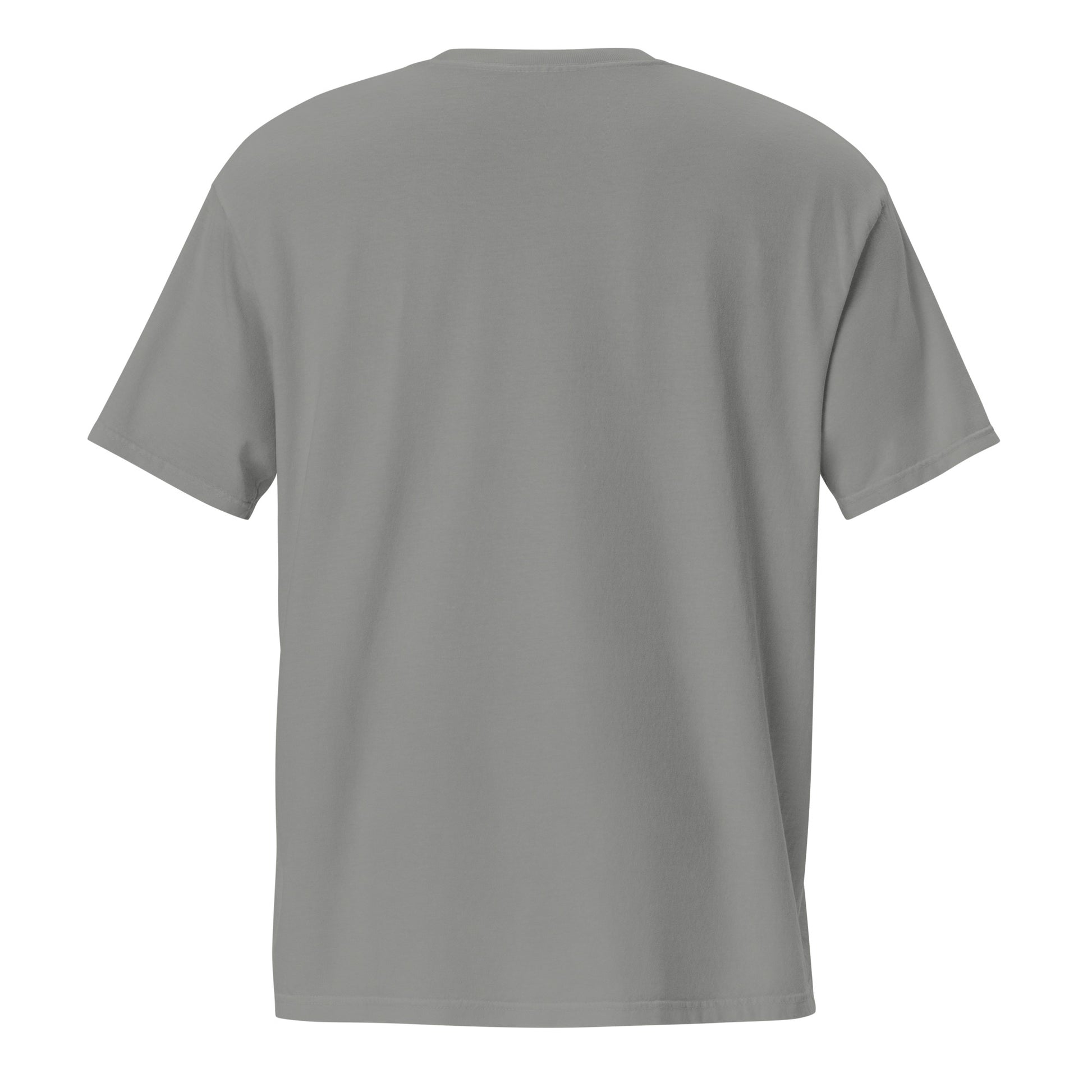 Barely Paid, Fully Dead Inside sarcastic t-shirt - t grey, back view