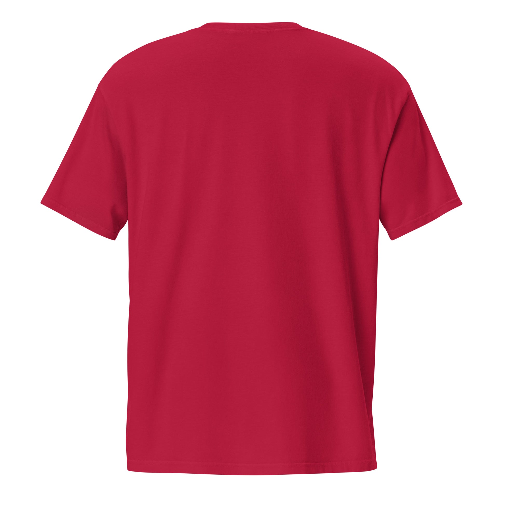 Barely Paid, Fully Dead Inside sarcastic t-shirt - t red, back view