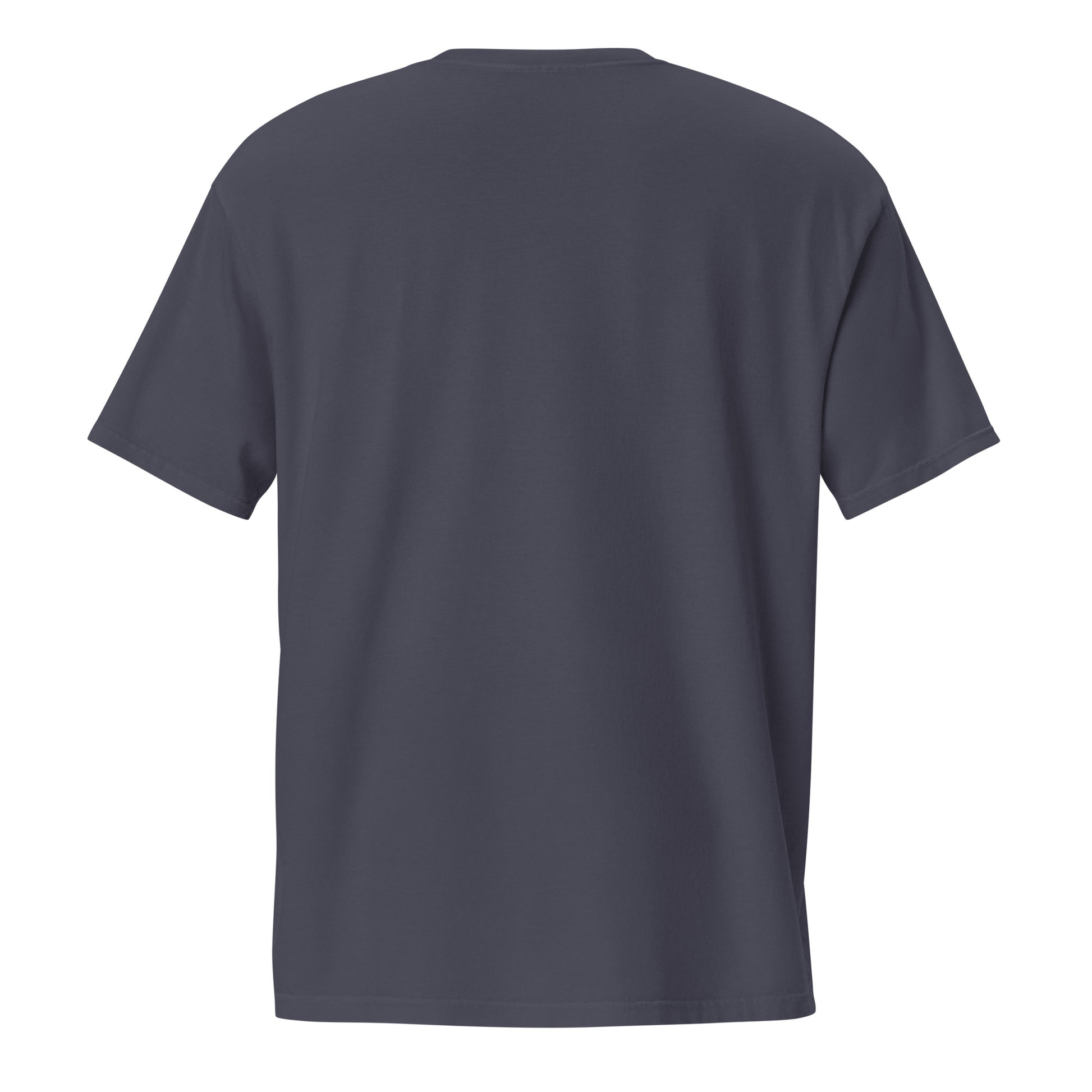 Barely Paid, Fully Dead Inside sarcastic t-shirt - true navy, back view