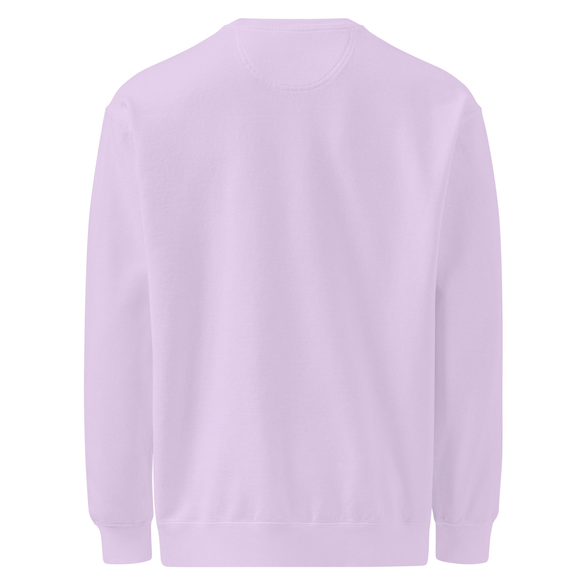 Dreams? Oh, I Sold Those. sarcastic sweatshirt - dyed orchid, back view