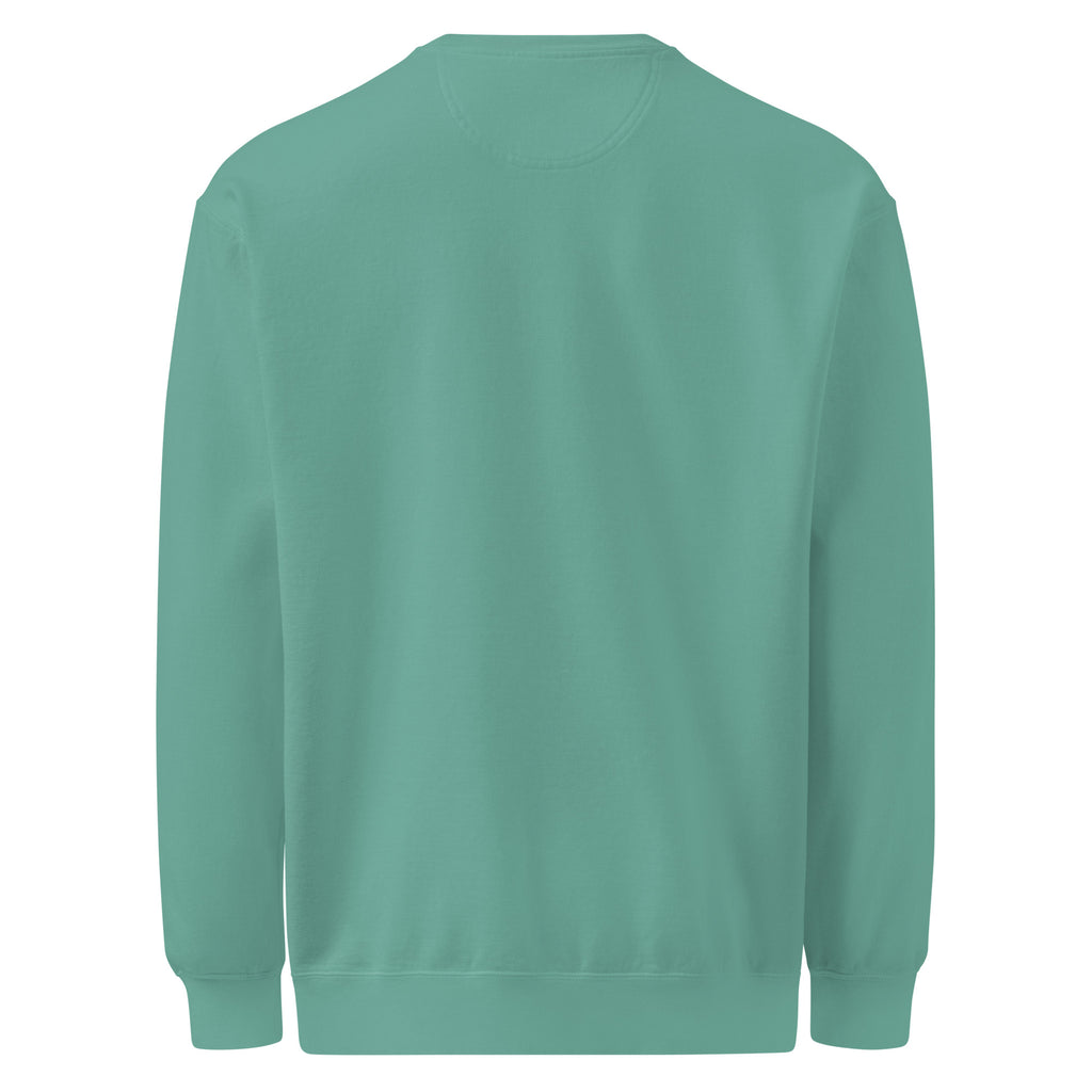 Dreams? Oh, I Sold Those. sarcastic sweatshirt - dyed seafoam, back view