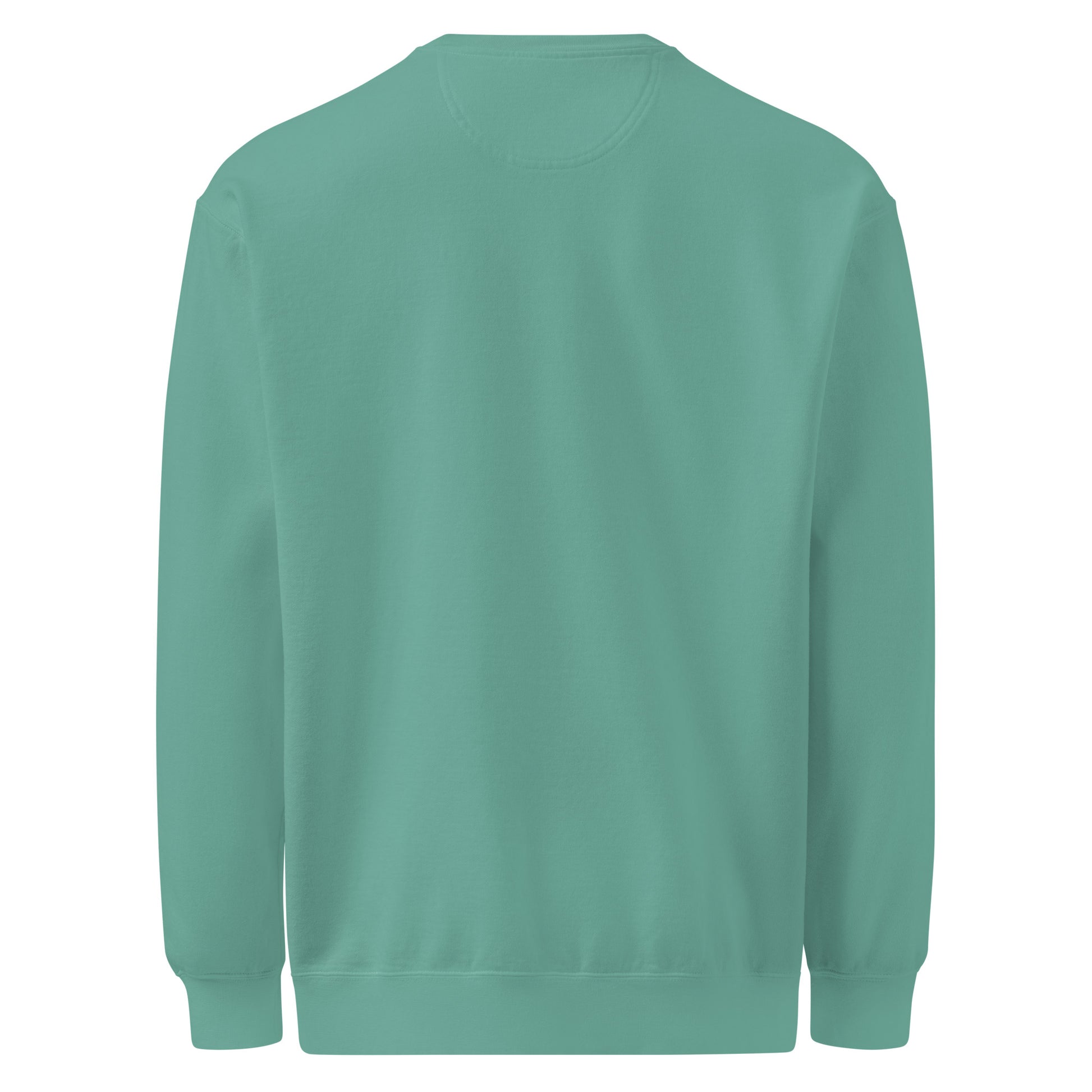 Liquid Patience Needed - Sarcastic Sweatshirts | PureSarcasm in Dyed Sweatshirt Seafoam - Back View | Sarcastic Sweatshirts | PureSarcasm