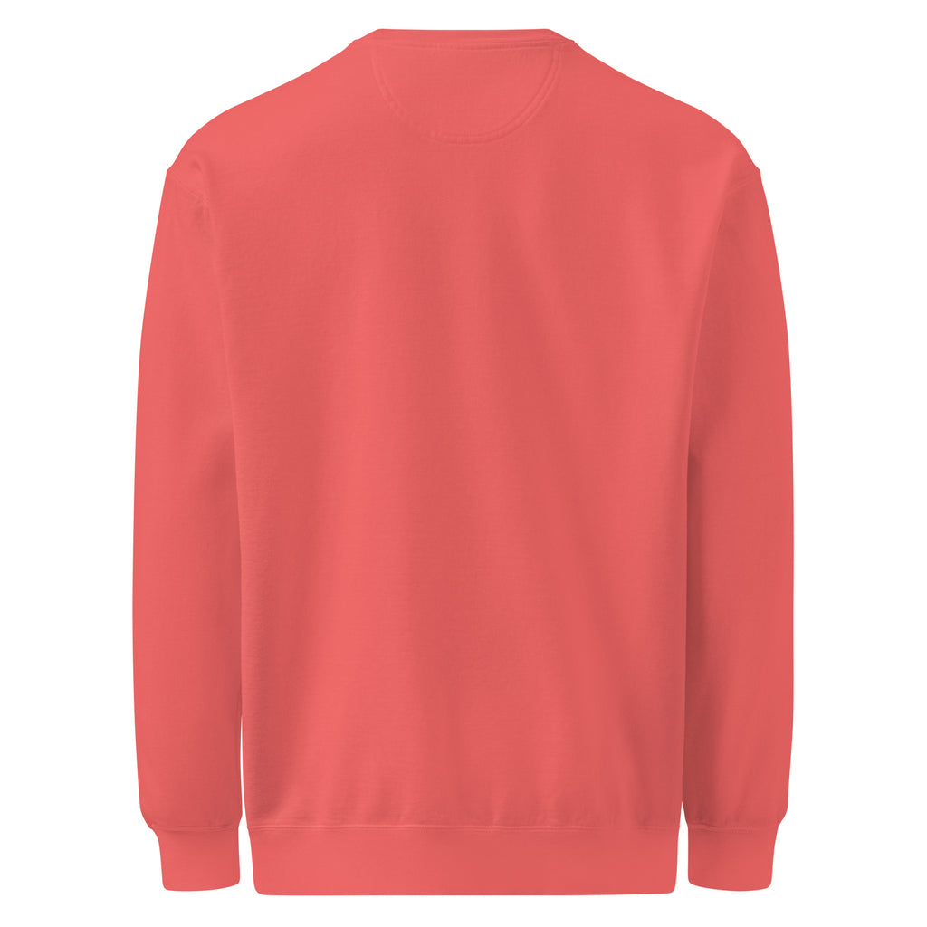 PureSarcasm sarcastic sweatshirt - dyed watermelon, back view