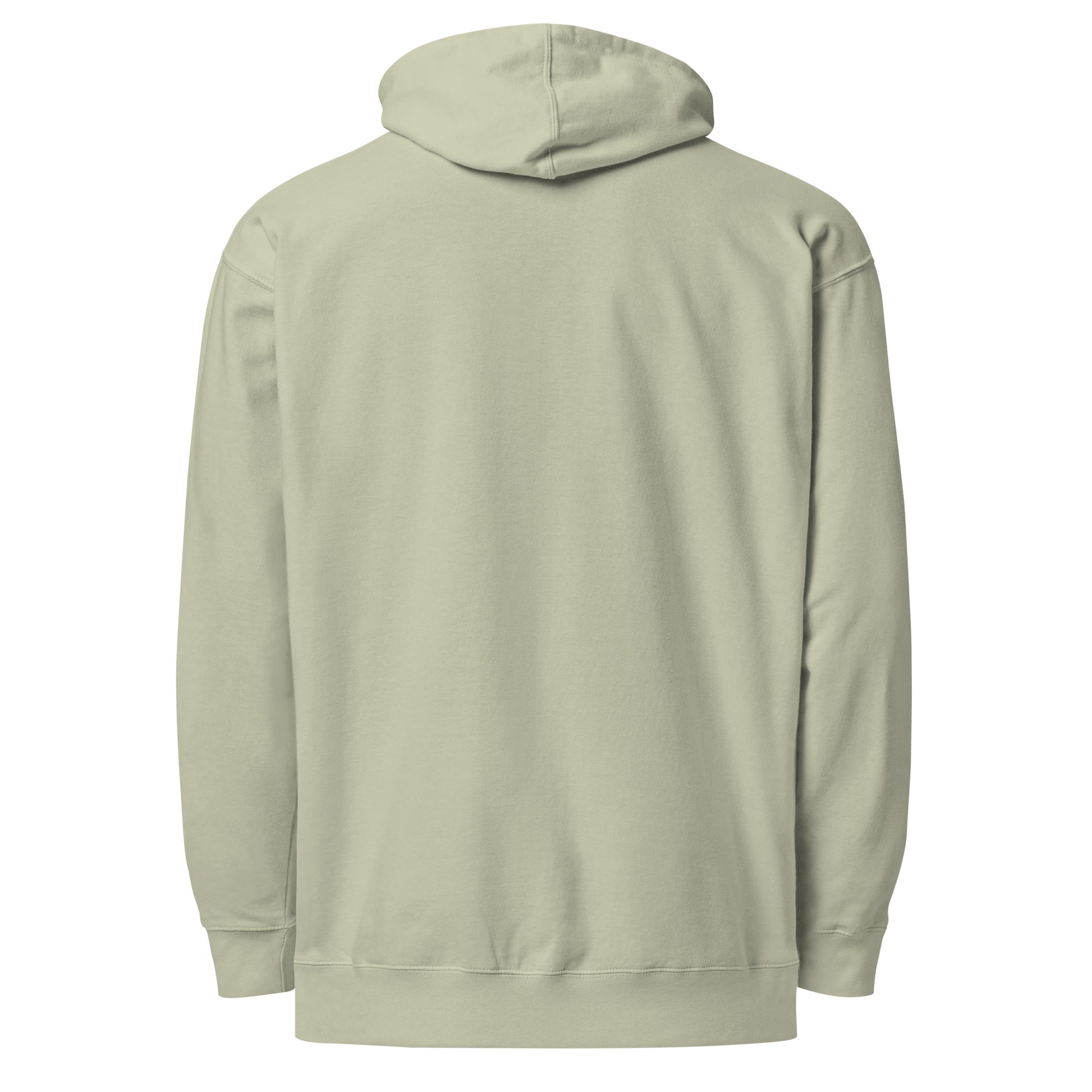 Risking Everything Daily - Sarcastic Hoodies | PureSarcasm in Hoodie Dusty Sage - Back View | Sarcastic Hoodies | PureSarcasm